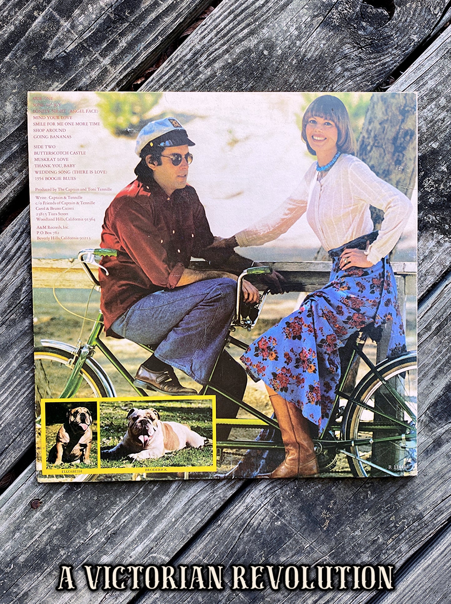Captain + Tennille – Song Of Joy - 1976 - Vinyl LP/Record Album -Used