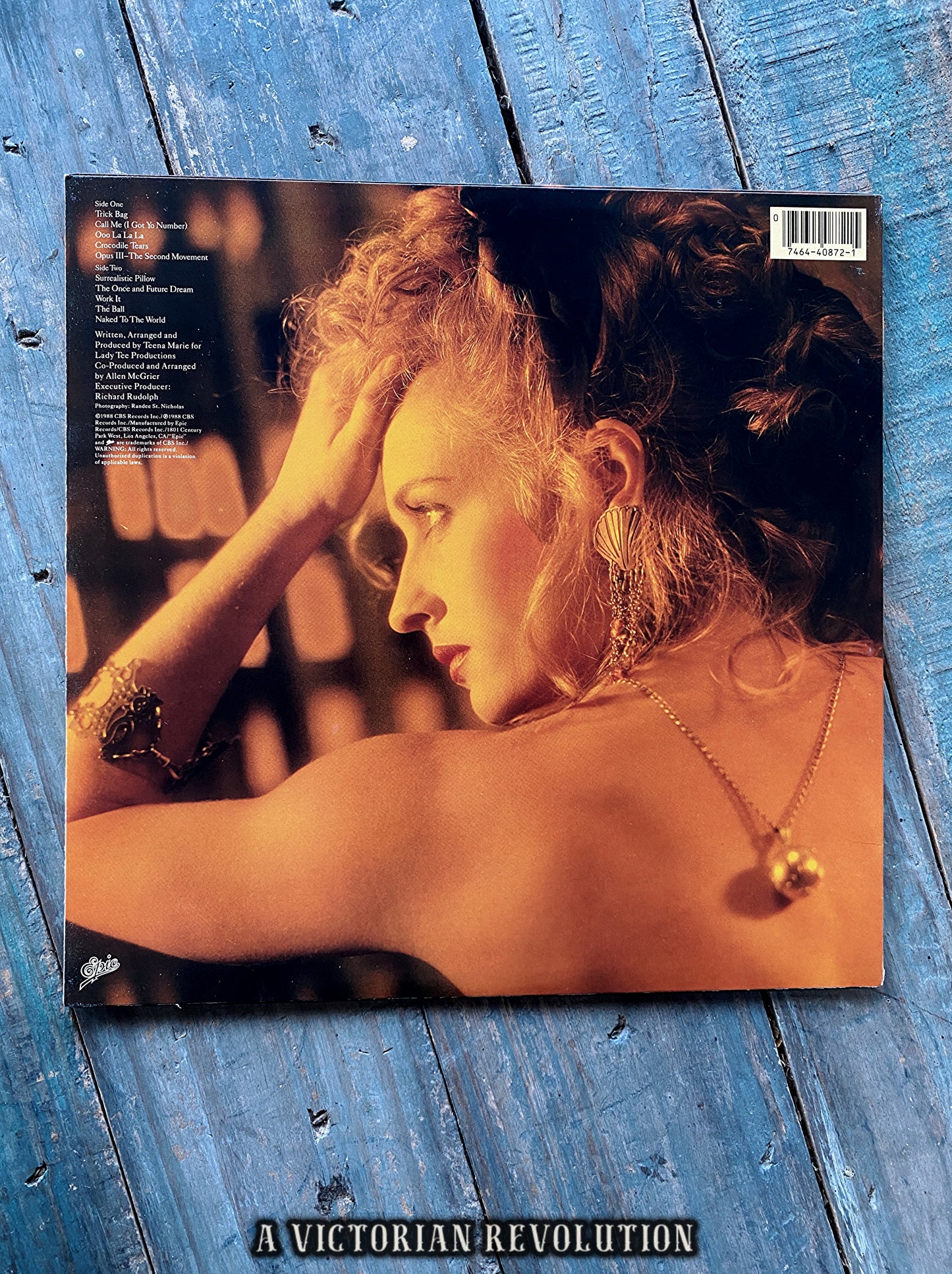 Teena Marie - Naked To The World - 1988 - Epic Records - R&B/Soul/Funk - Vinyl LP/Record Album - Used