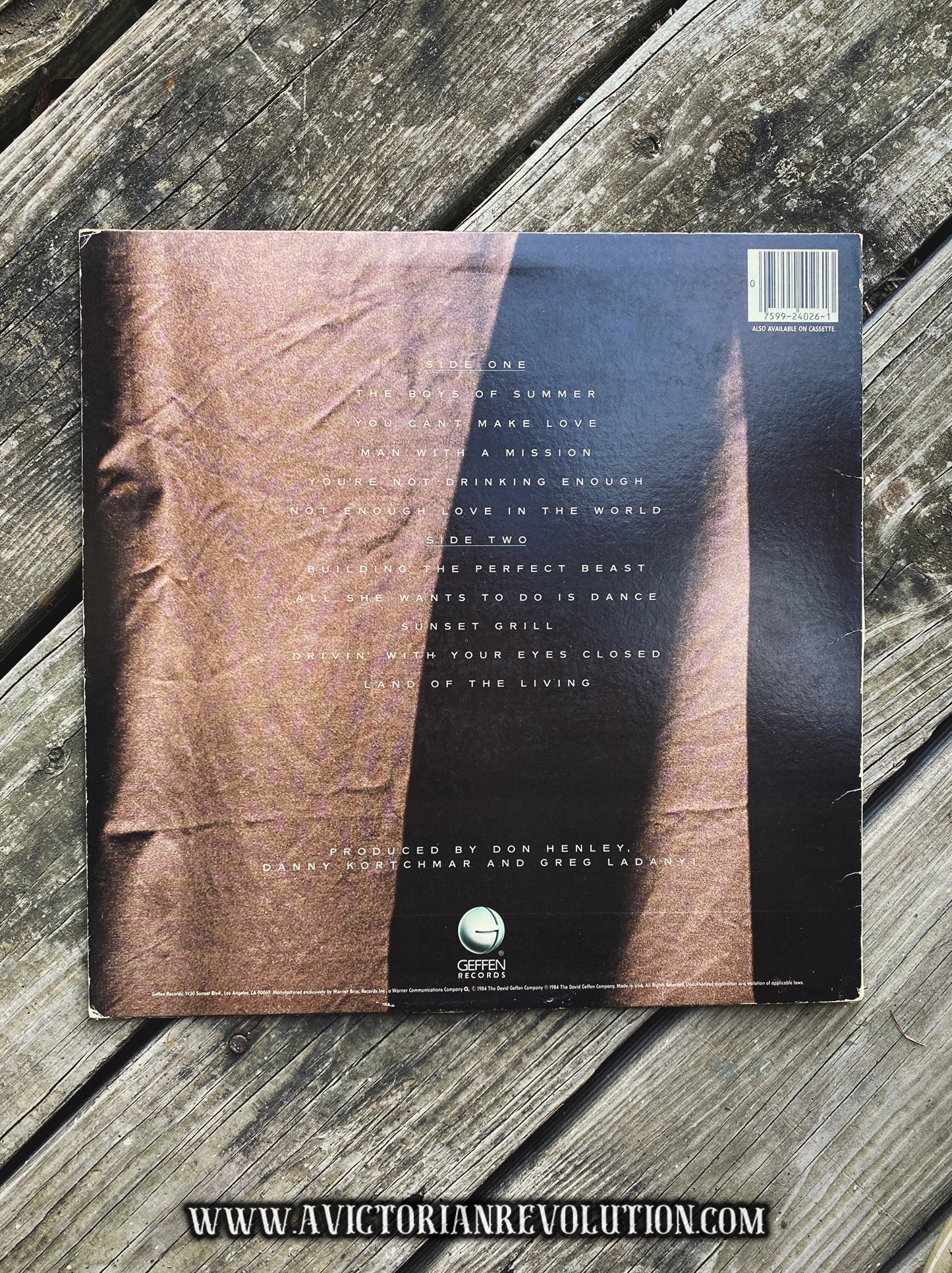 Don Henley - Building the Perfect Beast - 1984 - Geffen Records - Rock - Vinyl LP - Used