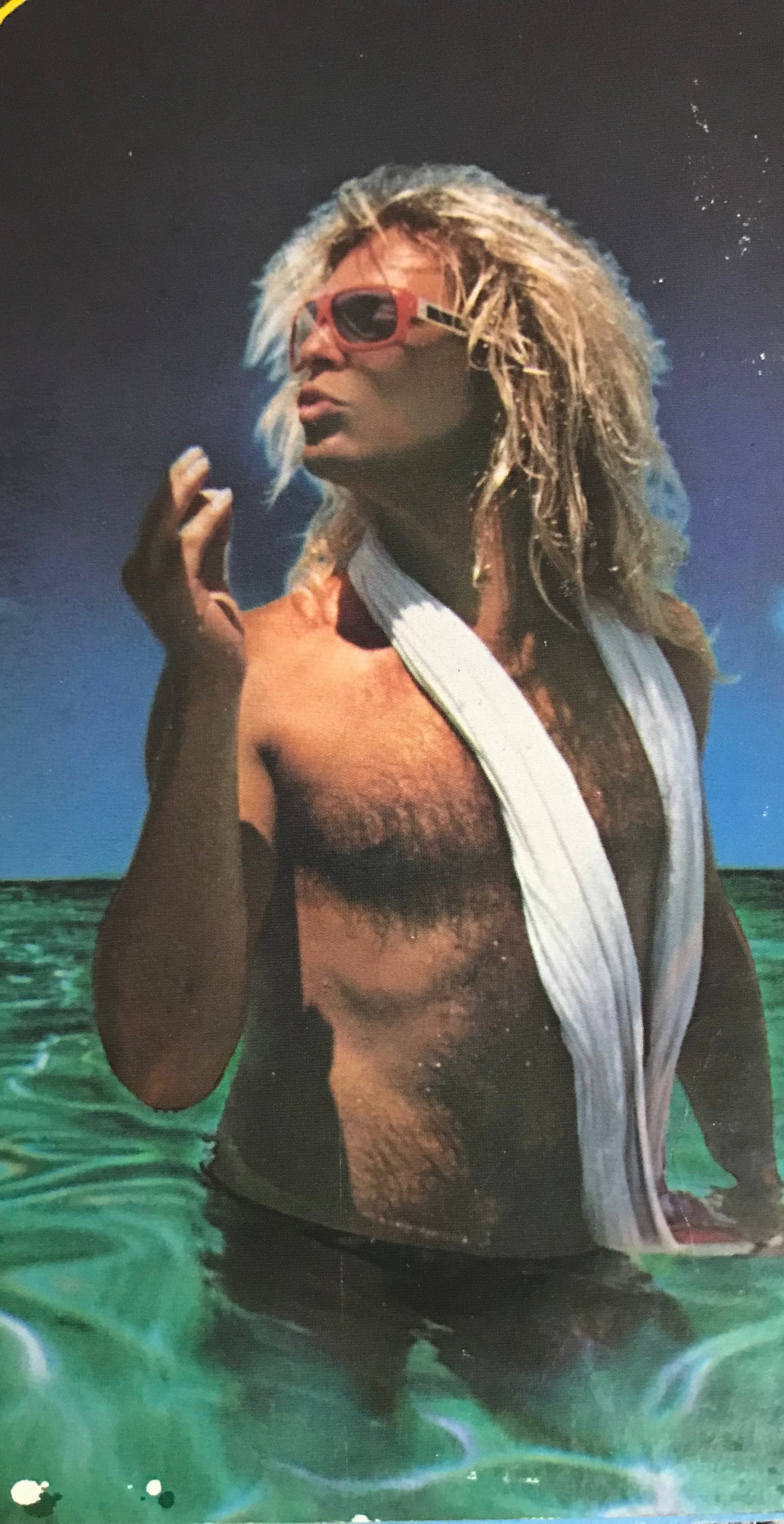 David Lee Roth  Crazy From the Heart Album Cover Notebook