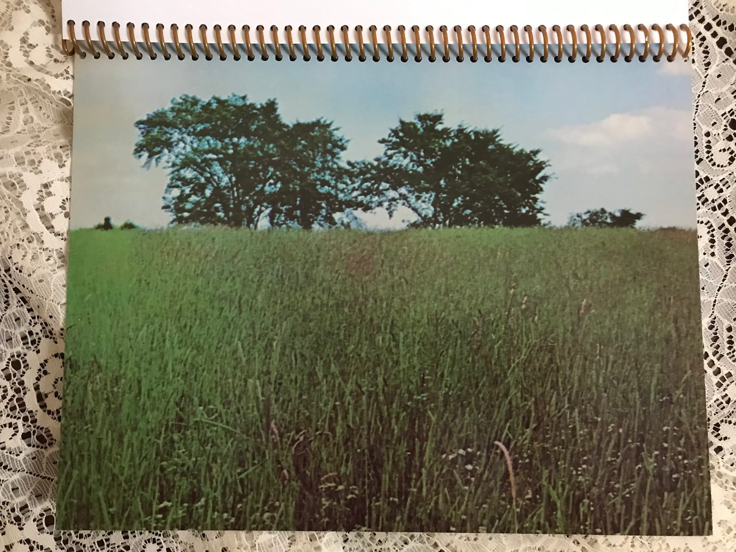 Crosby / Nash  The Best Of Album Cover Notebook