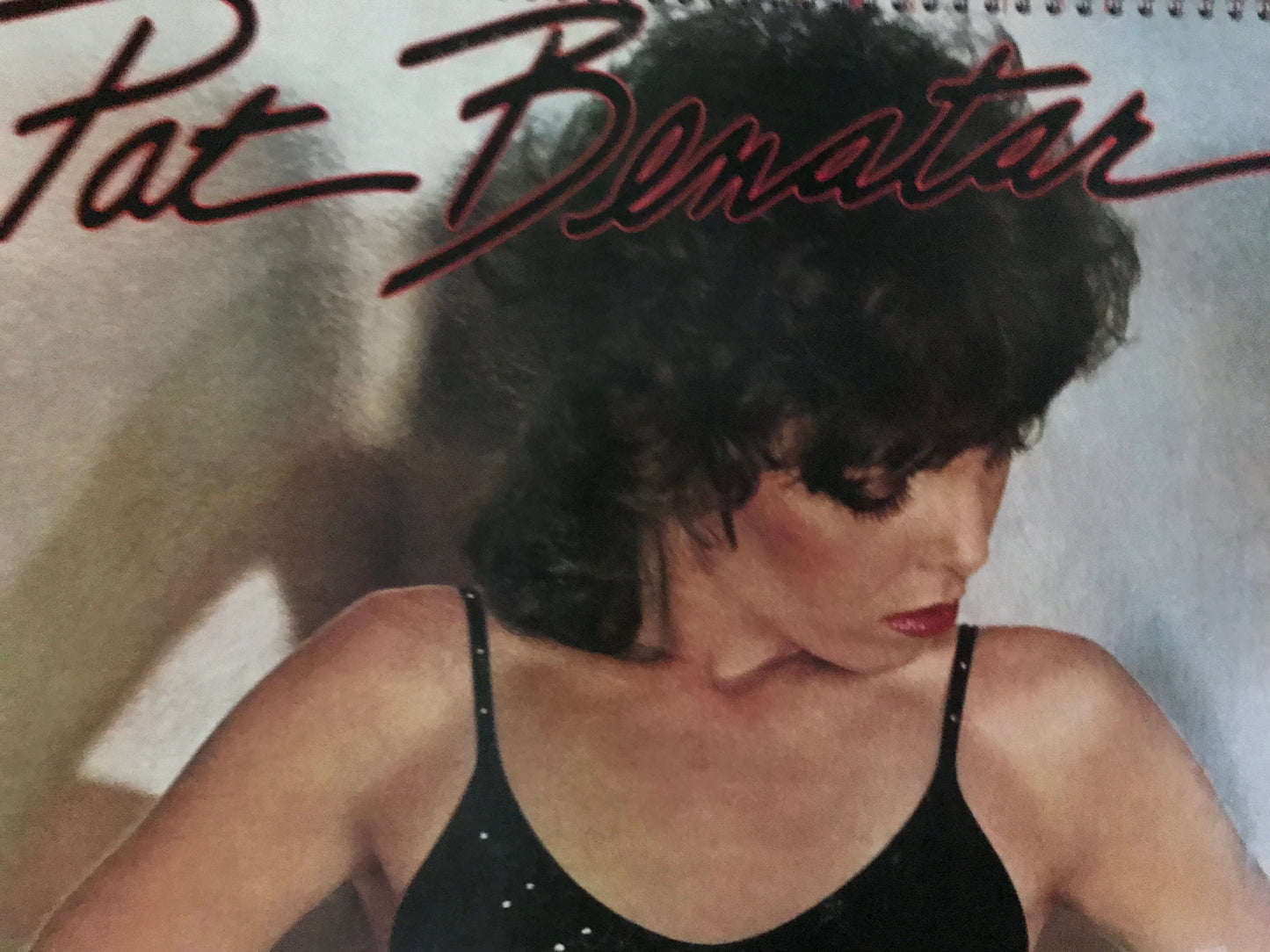 Pat Benatar Album Cover Notebook