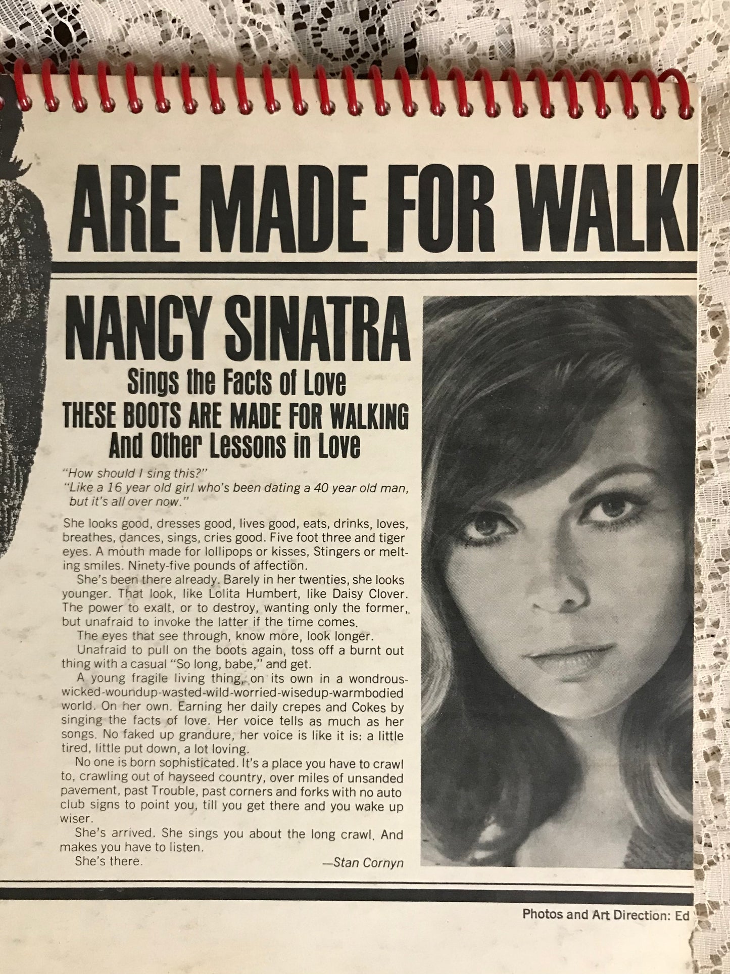 Nancy Sinatra  Boots Recycled Album Cover Notebook