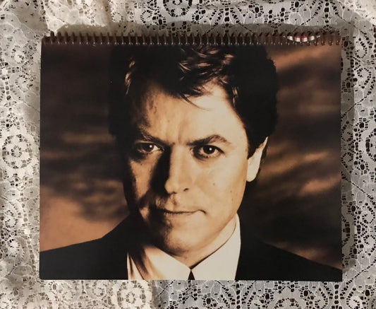 Robert Palmer Simply Irresistible Album Cover Notebook