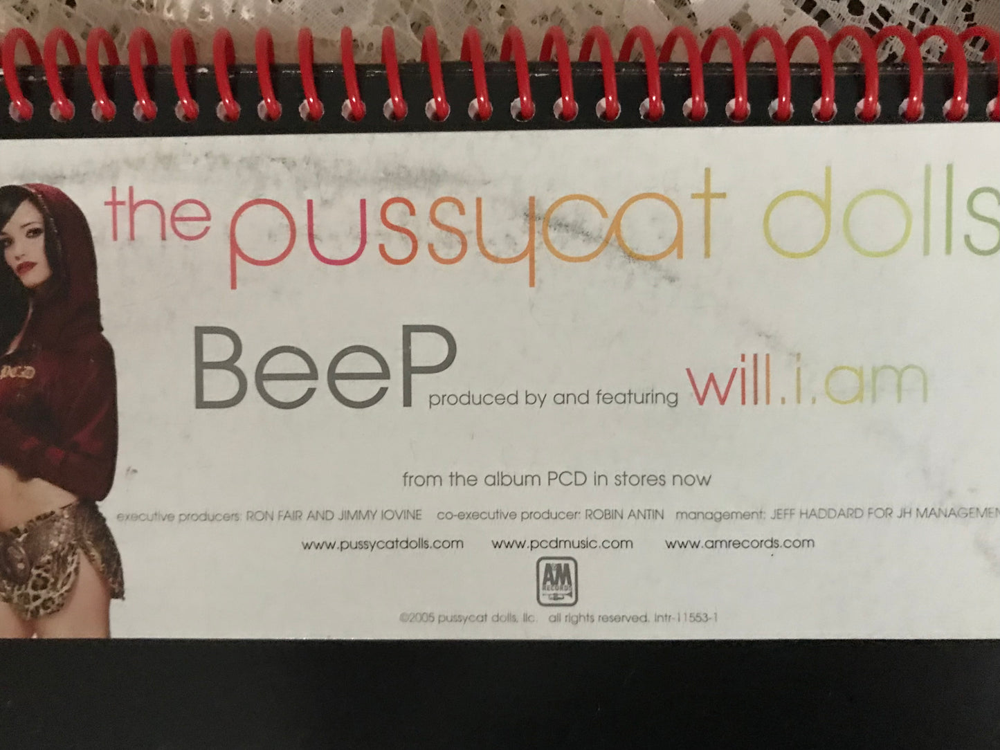 Pussycat Dolls Album Cover Notebook