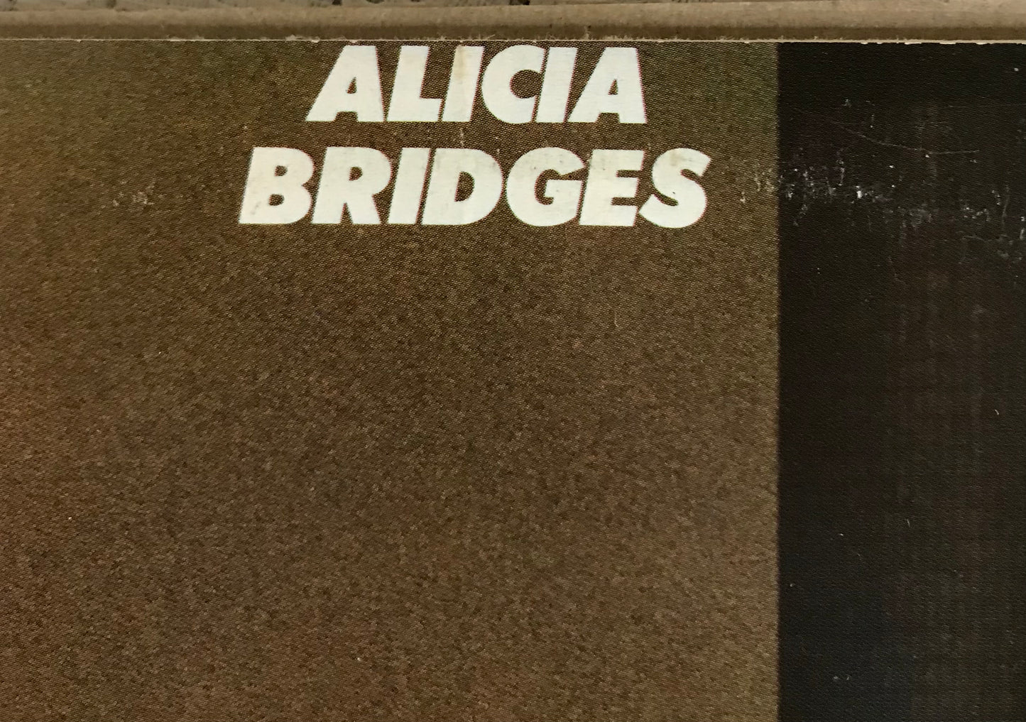 Alicia Bridges Album Cover Notebook
