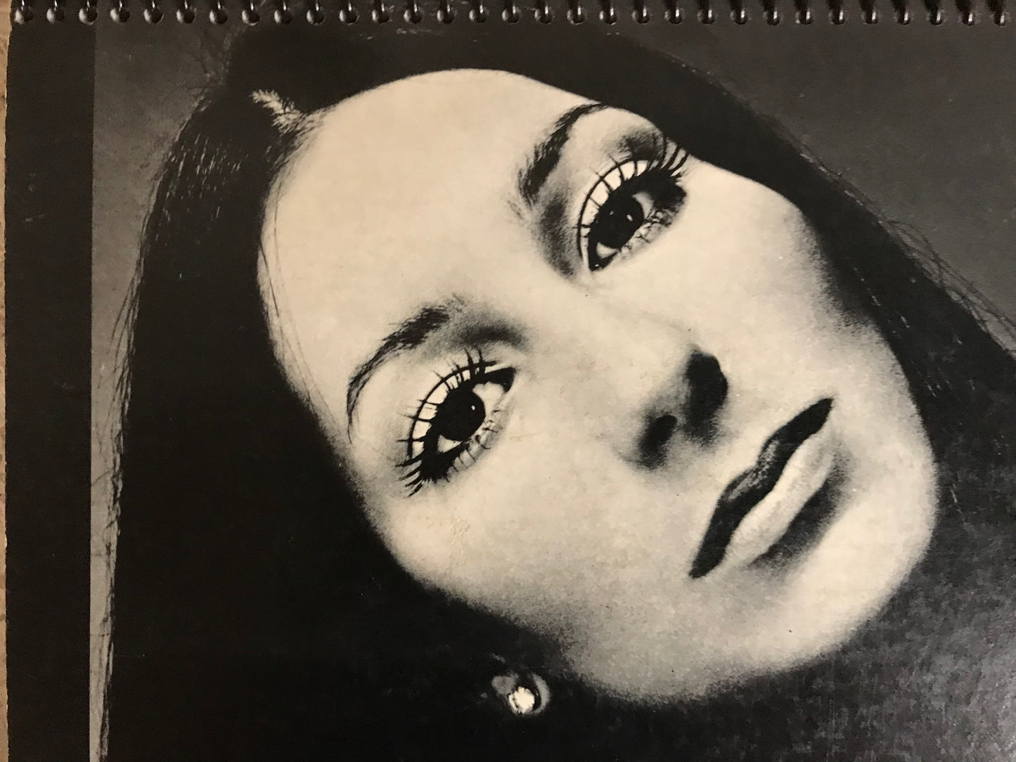 Cher Gypsies Tramps and Thieves Album Cover Notebook