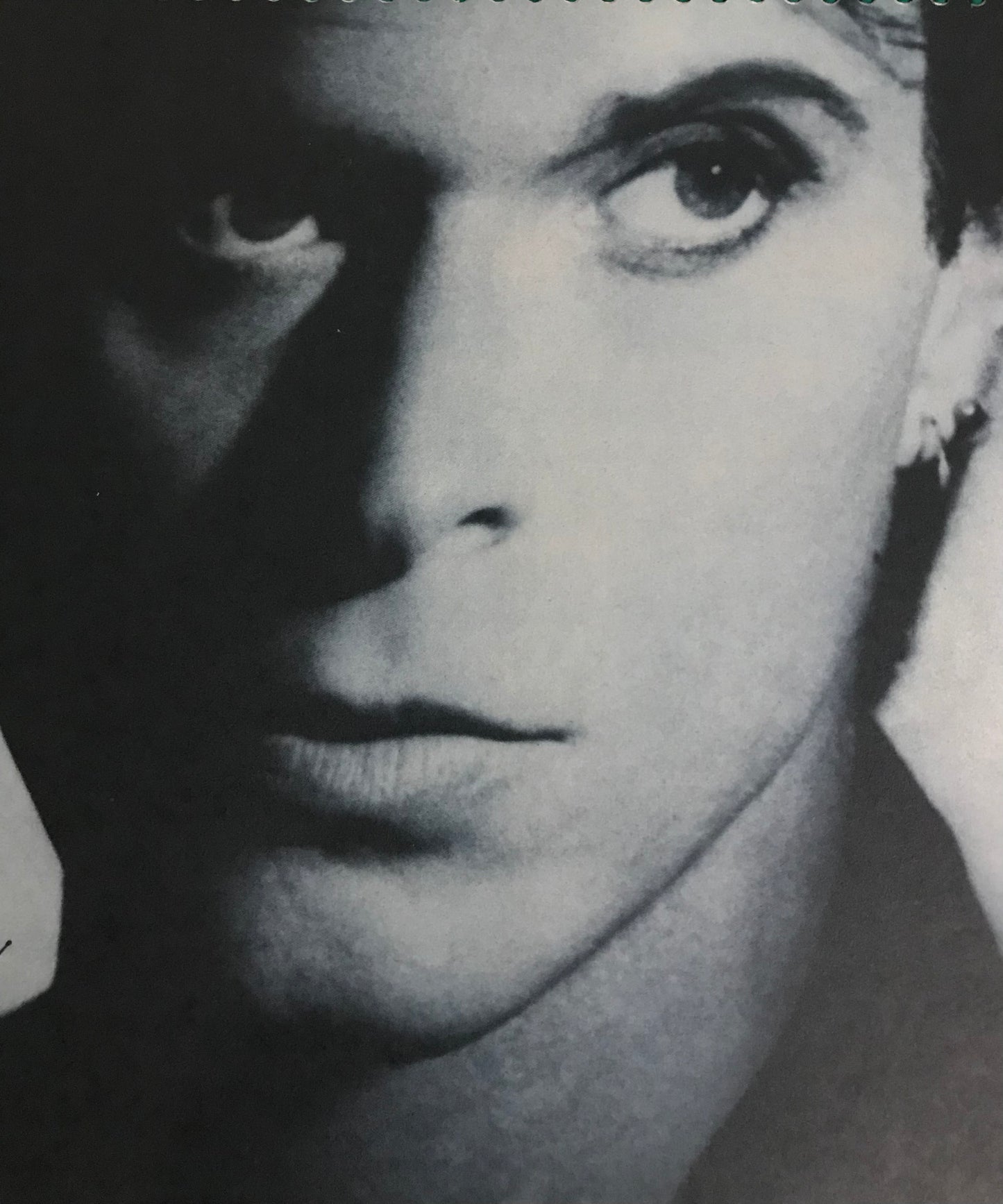 David Lee Roth  Crazy From the Heart Album Cover Notebook
