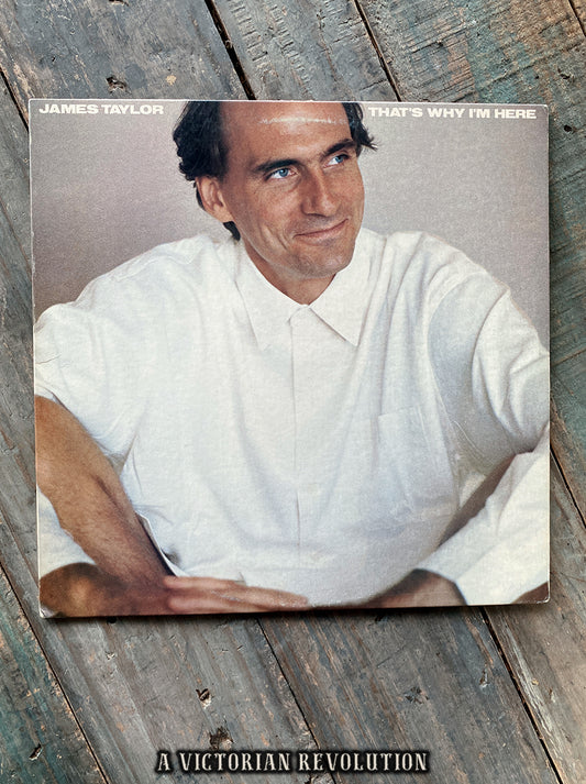 James Taylor - That's Why I'm Here - 1985 - Columbia Records - Soft Rock - Vinyl LP - Used