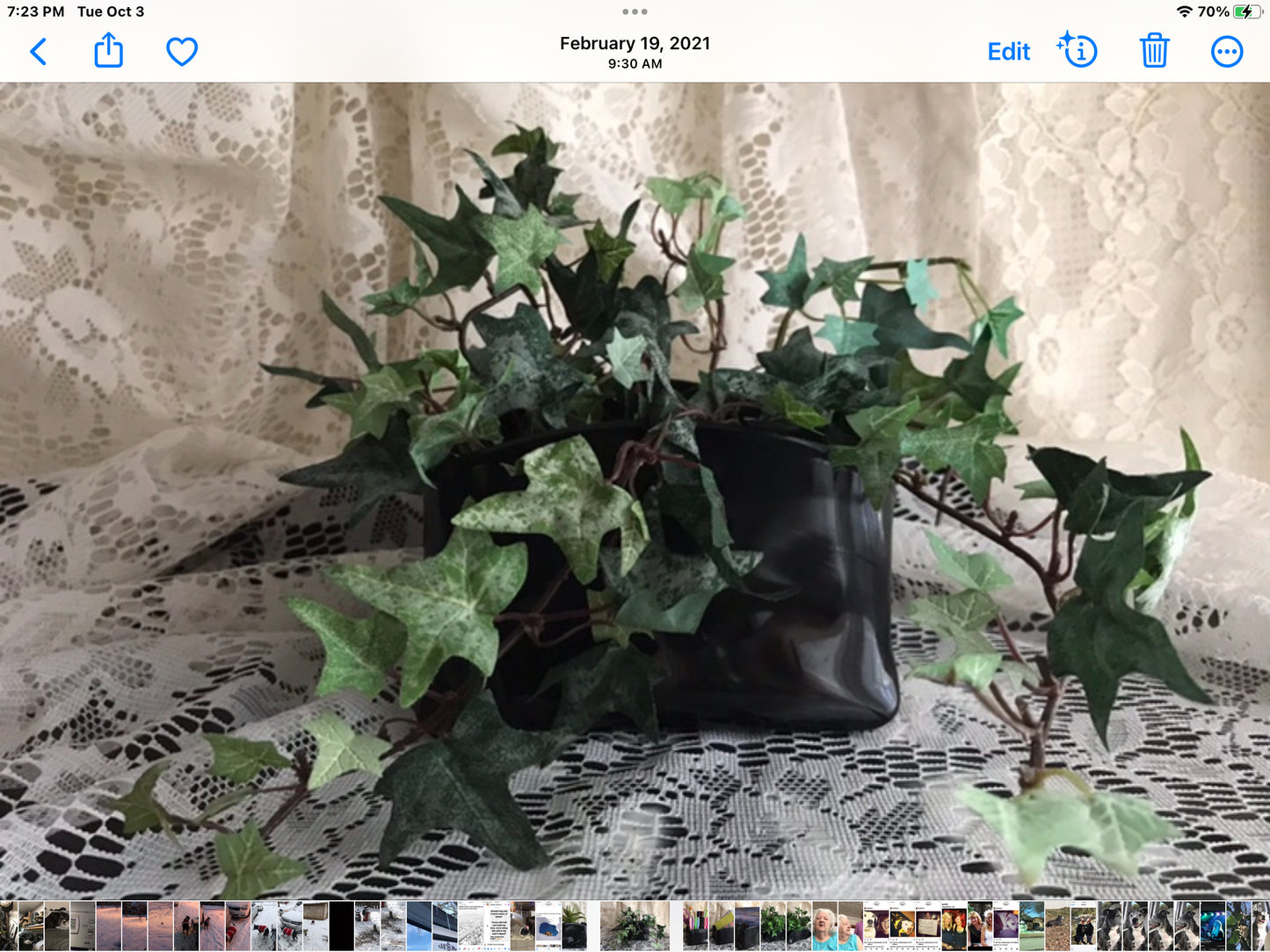 Record Bowl Robert Plant…Shaken n Stirred