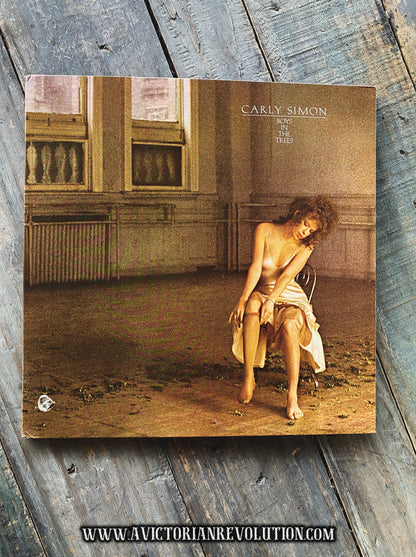 Carly Simon - Boys in the Trees - 1978 - Elektra Records - Soft Rock - Vinyl LP Record Album - Used