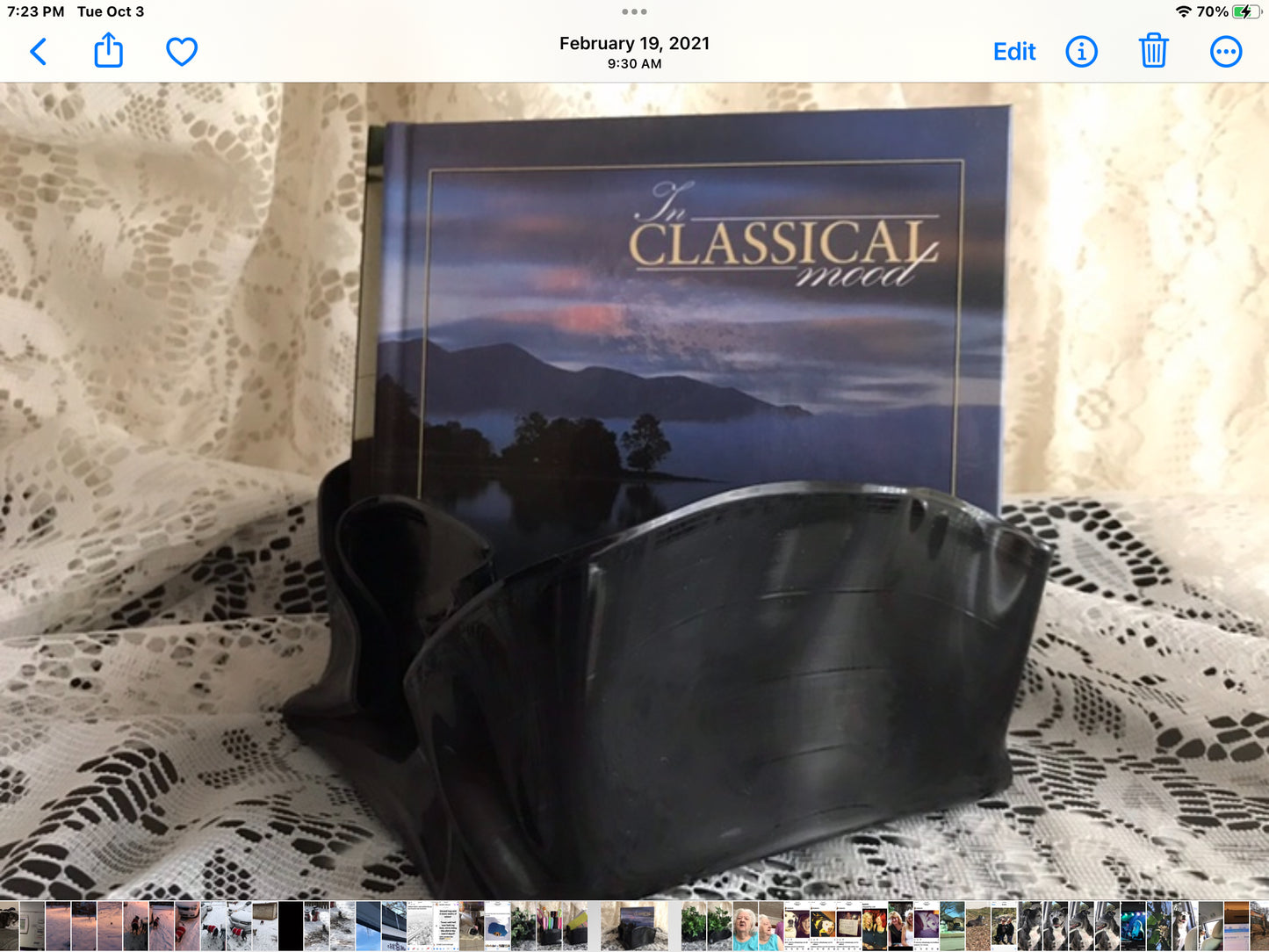 Record Bowl Robert Plant…Shaken n Stirred