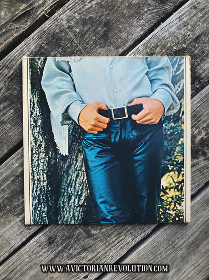 Bobby Sherman - Here Comes Bobby - 1970 - Metromedia Records - Pop Rock - Vinyl LP Record Album - Used