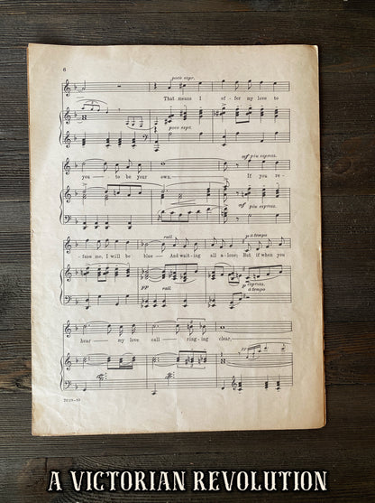 Indian Love Call - Rose-Marie - Sheet Music - 1924