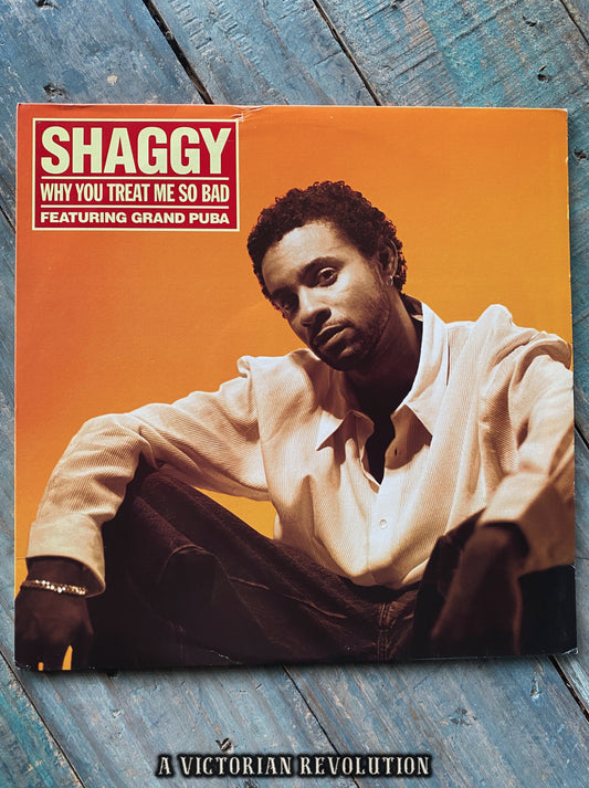 Shaggy - Why You Treat Me So Bad - 1995 - Virgin Records - Reggae/Hip Hop - Vinyl 12" Single - Used