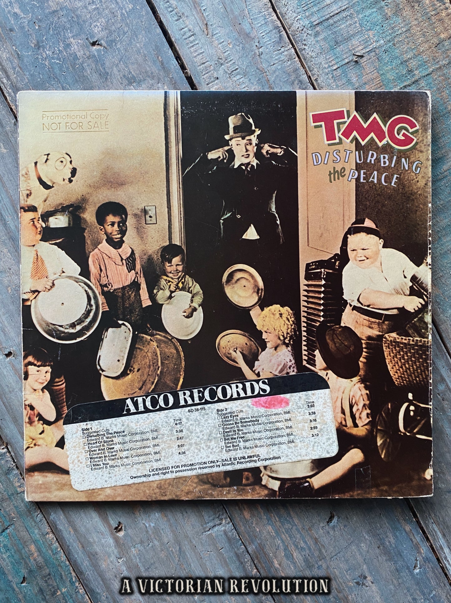 TMG - Ted Mulry Gang - Disturbing the Peace - Promotional Copy - 1979 - ATCO Records - Rock - Vinyl LP/Record Album - Used