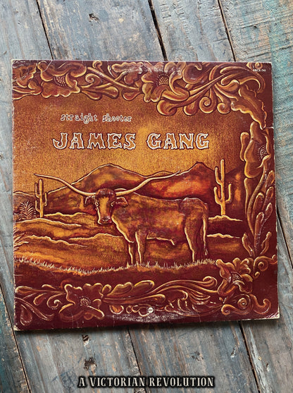James Gang - Straight Shooter - 1972 - ABC Records - Rock - Vinyl LP/Record Album - Used
