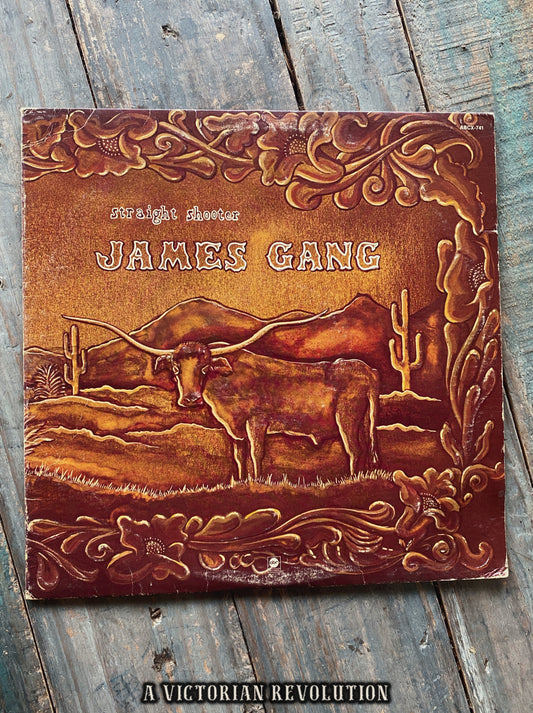 James Gang - Straight Shooter - 1972 - ABC Records - Rock - Vinyl LP/Record Album - Used