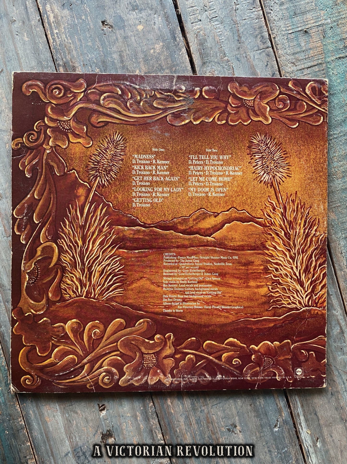 James Gang - Straight Shooter - 1972 - ABC Records - Rock - Vinyl LP/Record Album - Used