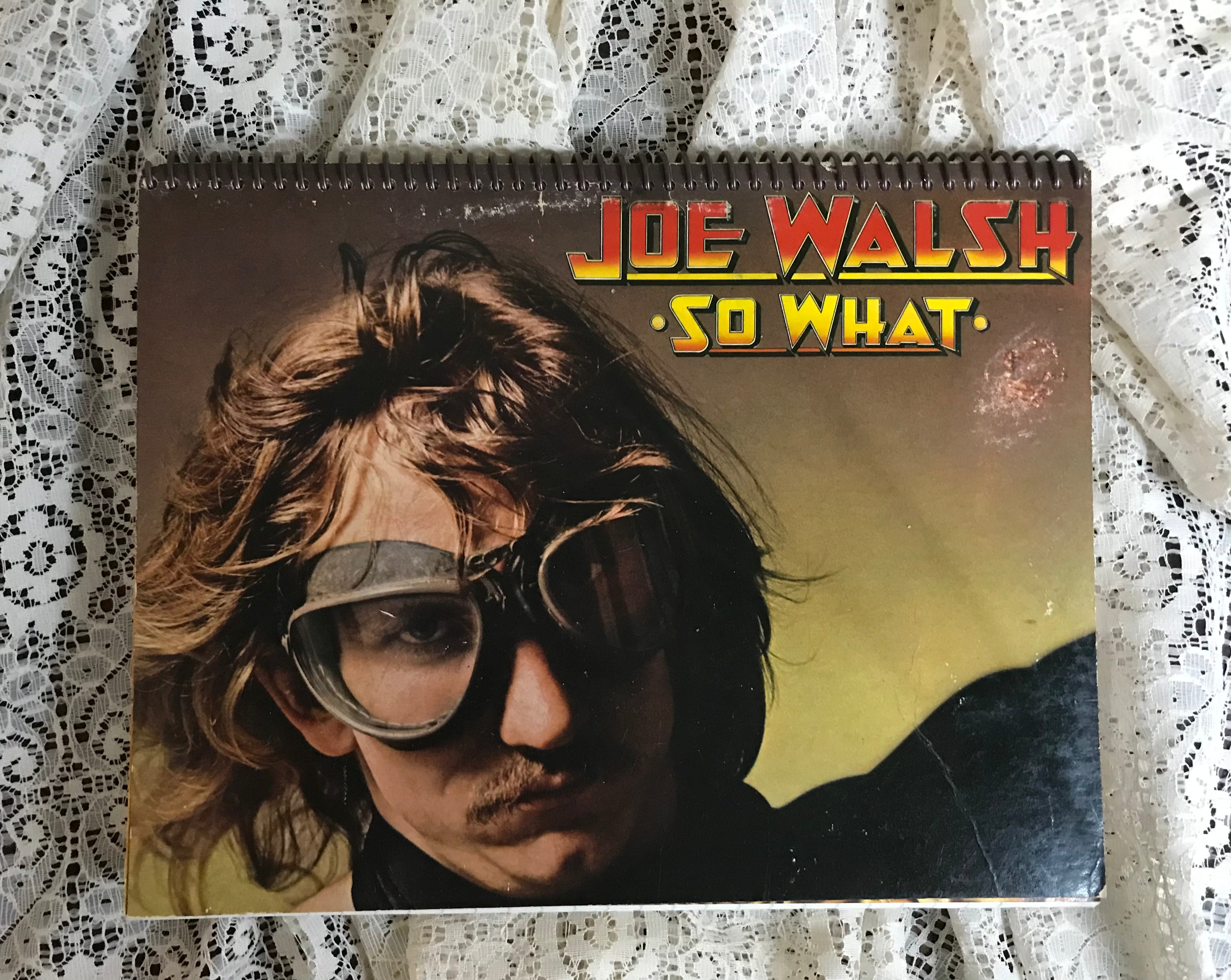 Joe Walsh Recycled Album Cover Notebook