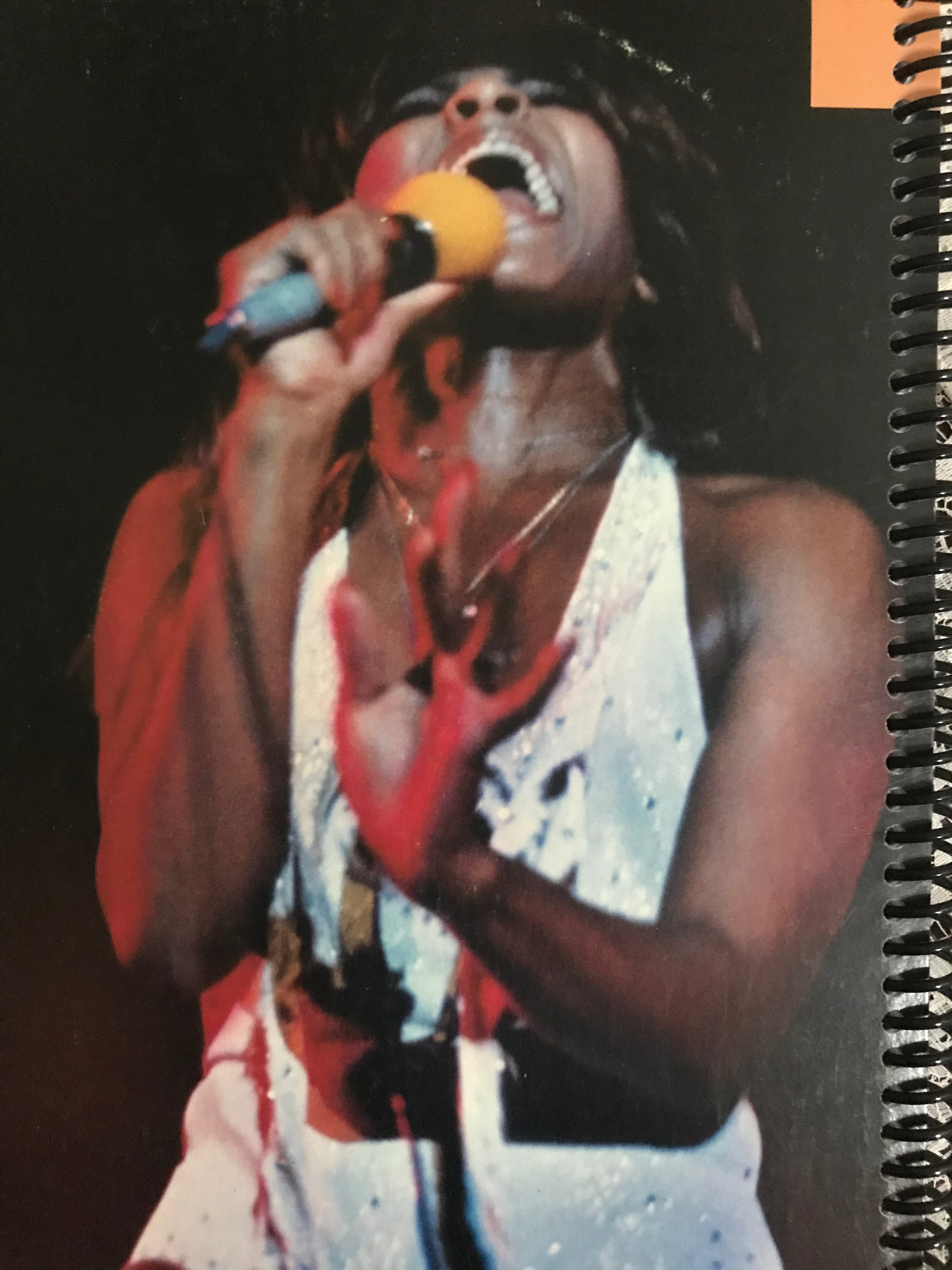 Tina Turner Album Cover Notebook