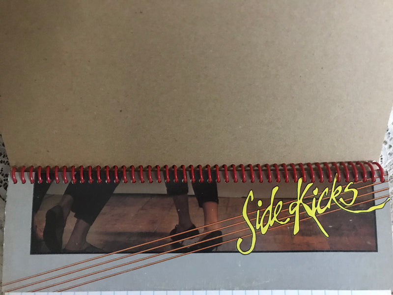 Thompson Twins Sidekicks Album Cover Notebook A Victorian Revolution