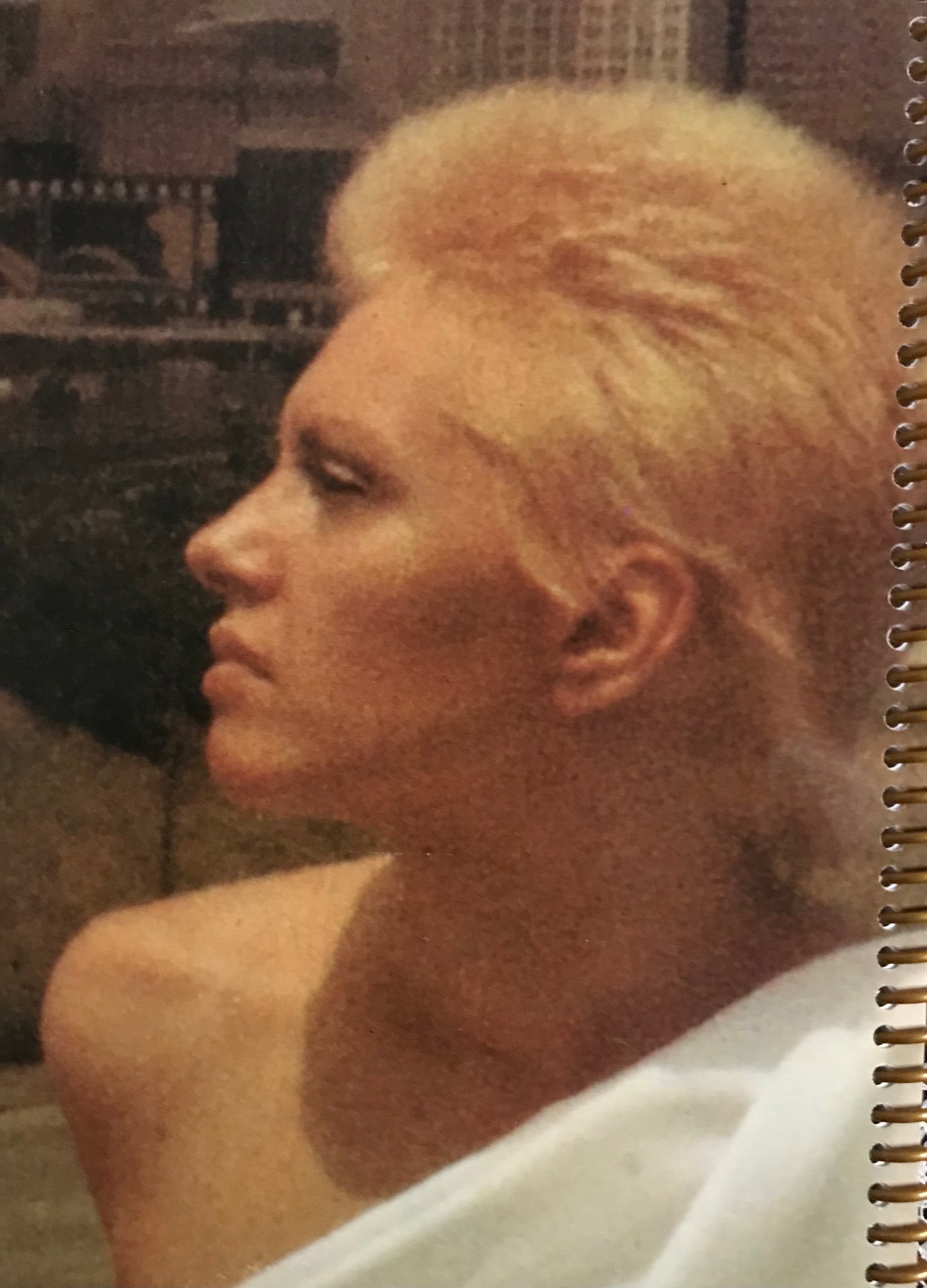 Alicia Bridges Album Cover Notebook