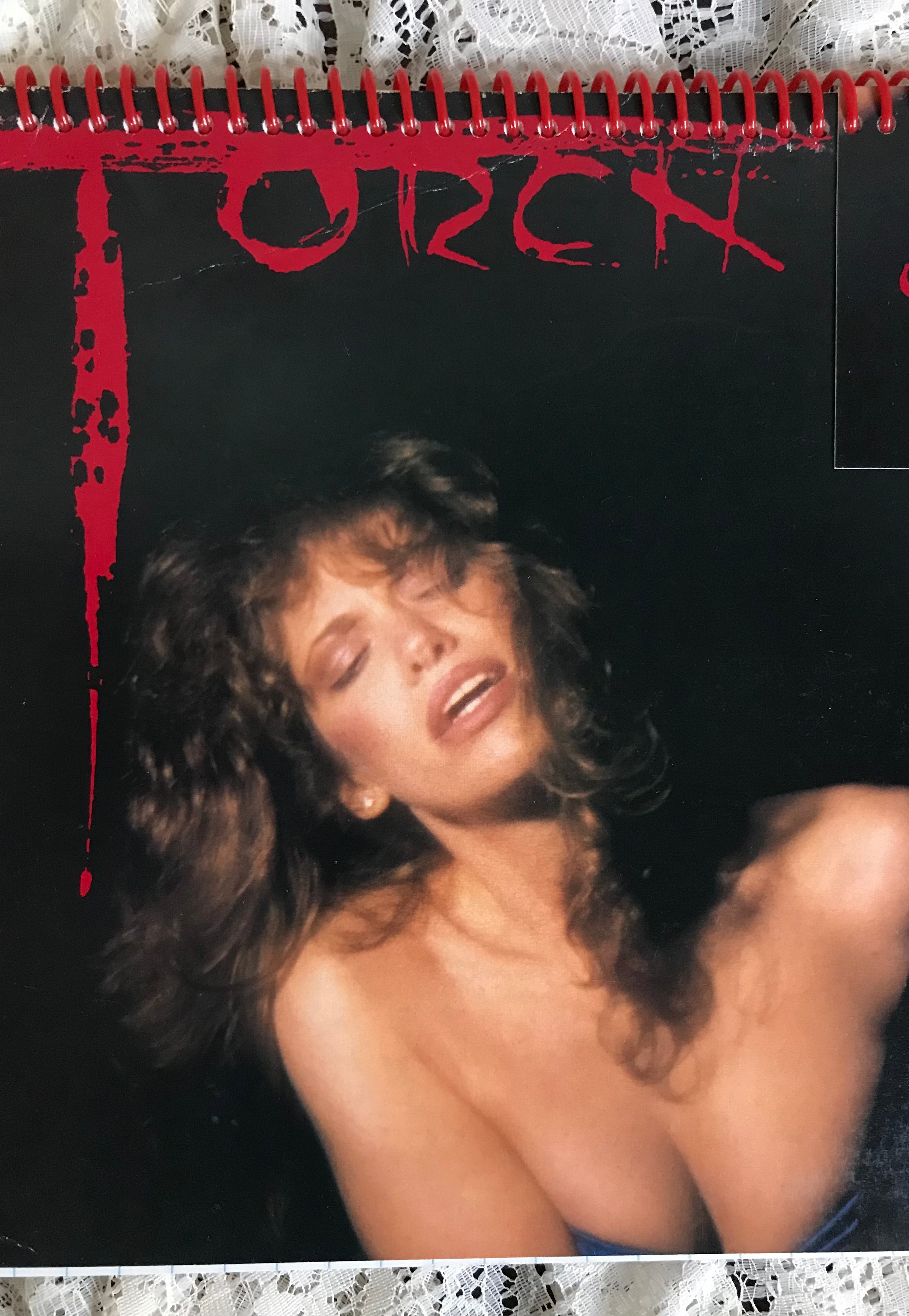 Carly Simon Torch Album Cover Notebook