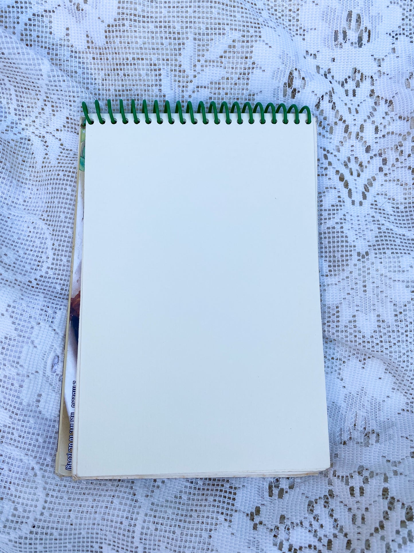 Gardenburger Veggie Riblets Recycled Notebook