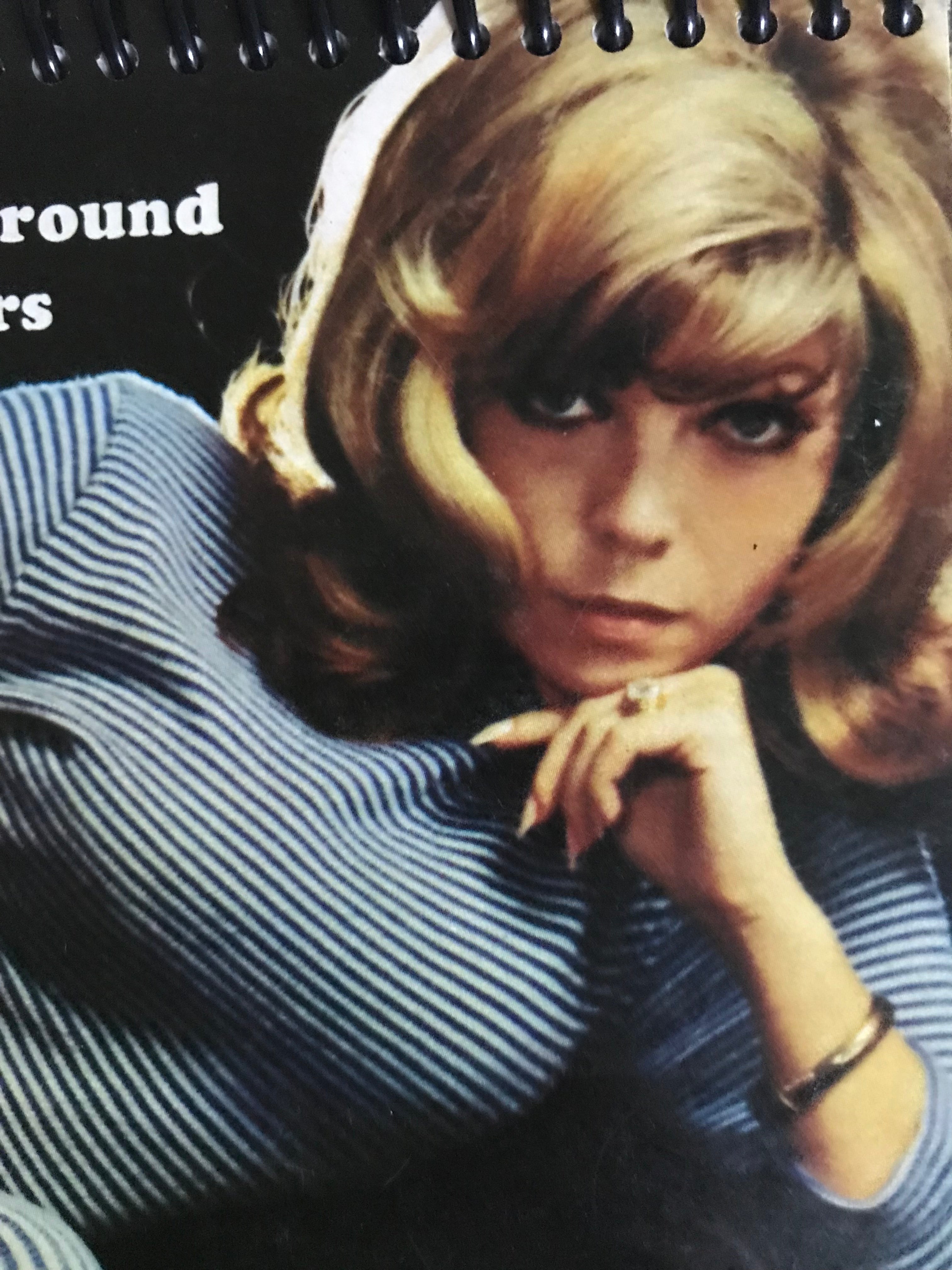 Nancy Sinatra Boots Album Cover Notebook