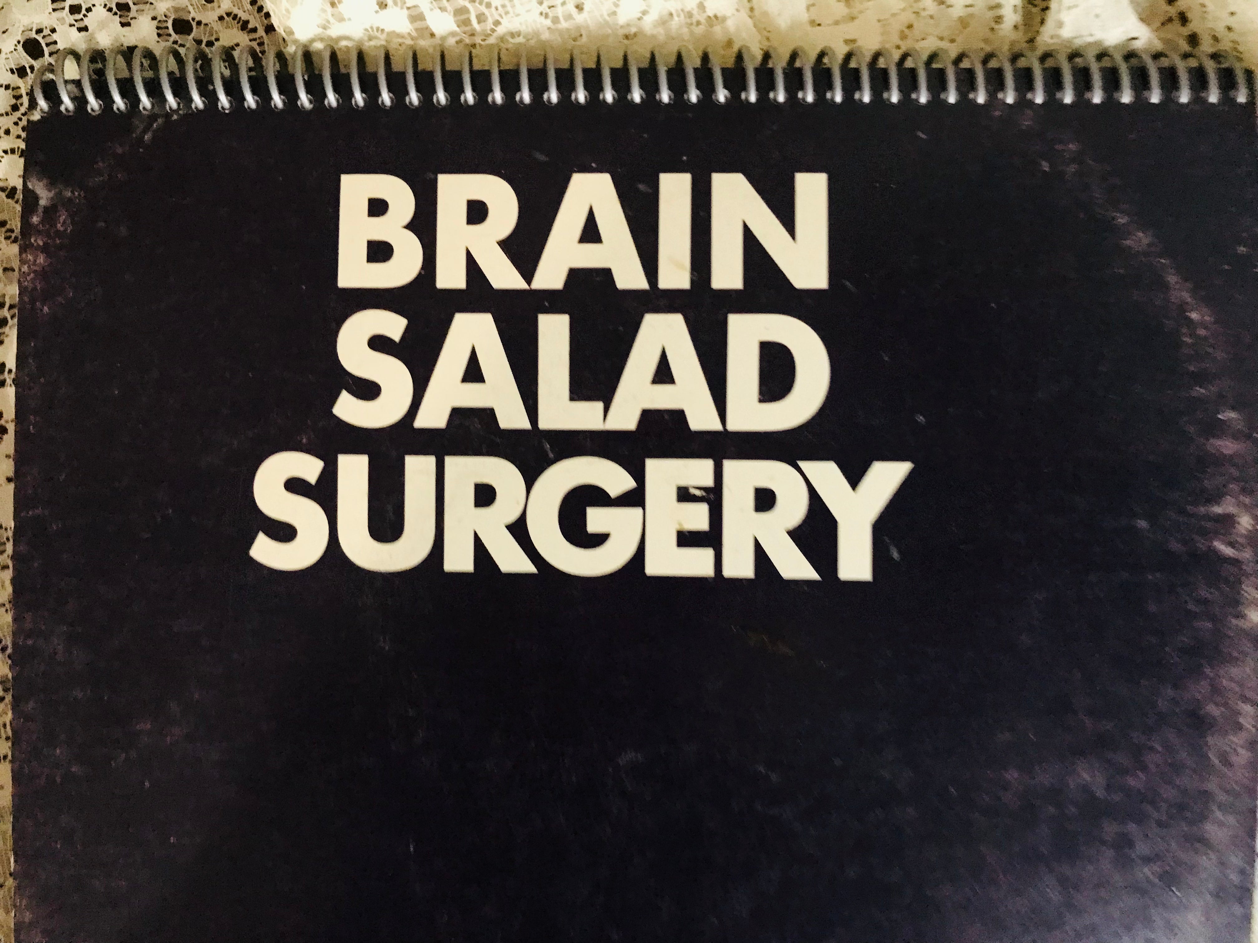 Emerson Lake and Palmer Brain Salad Surgery Album Cover Notebook