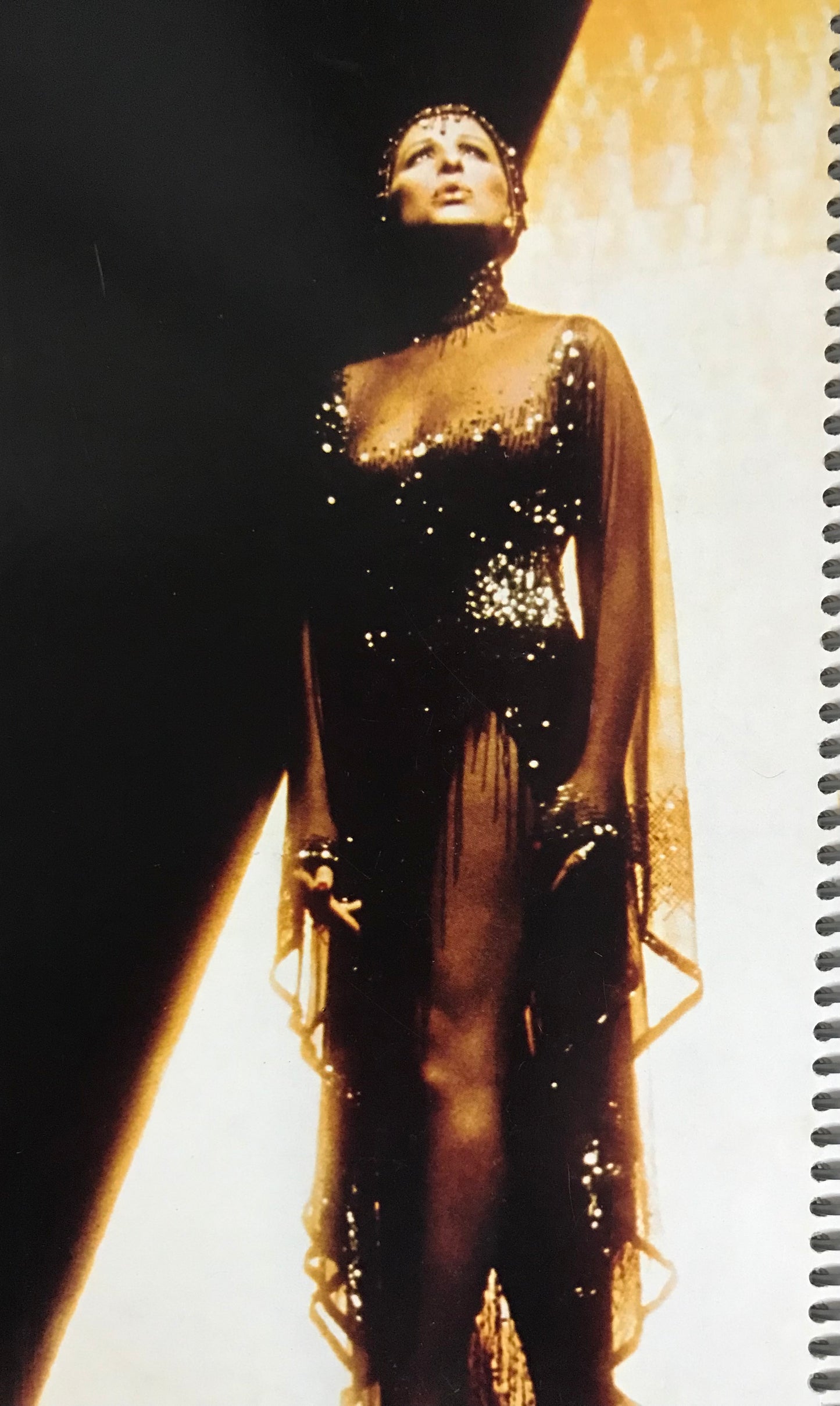 Barbra Streisand Funny Lady Album Cover Notebook