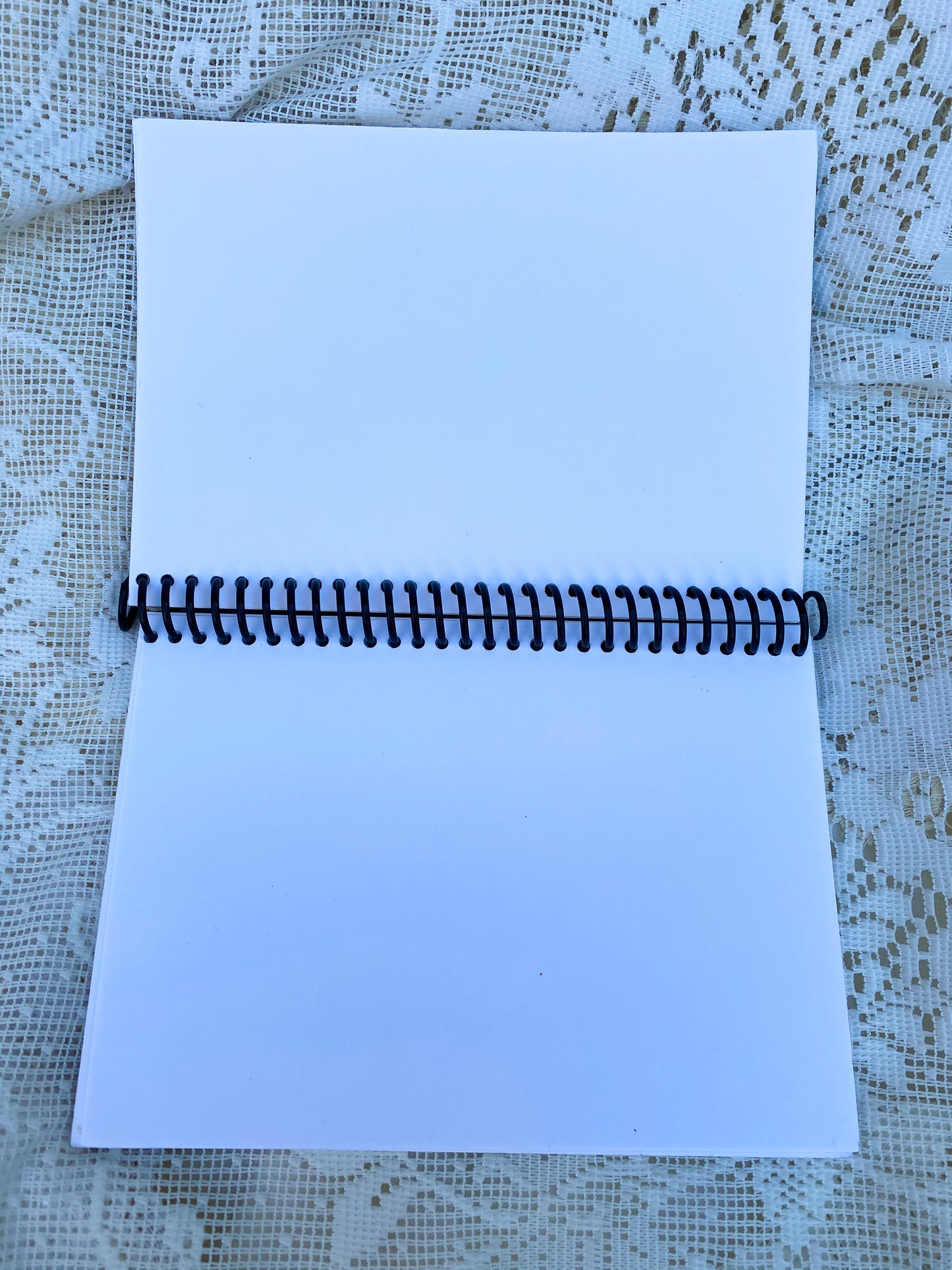 Dogfish Head Recycled Beer Carton Notebook