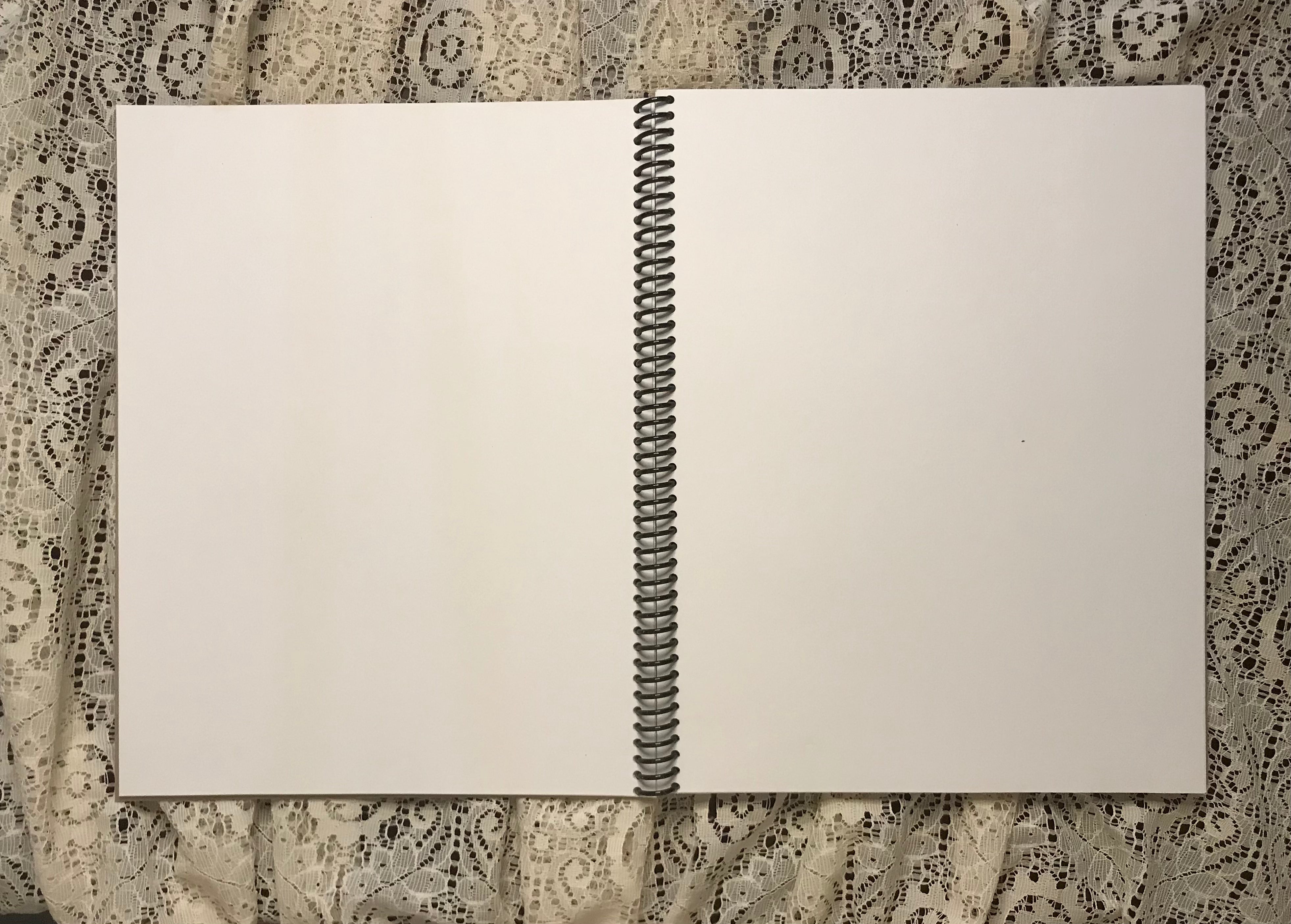 David Allan Coe Album Cover Notebook