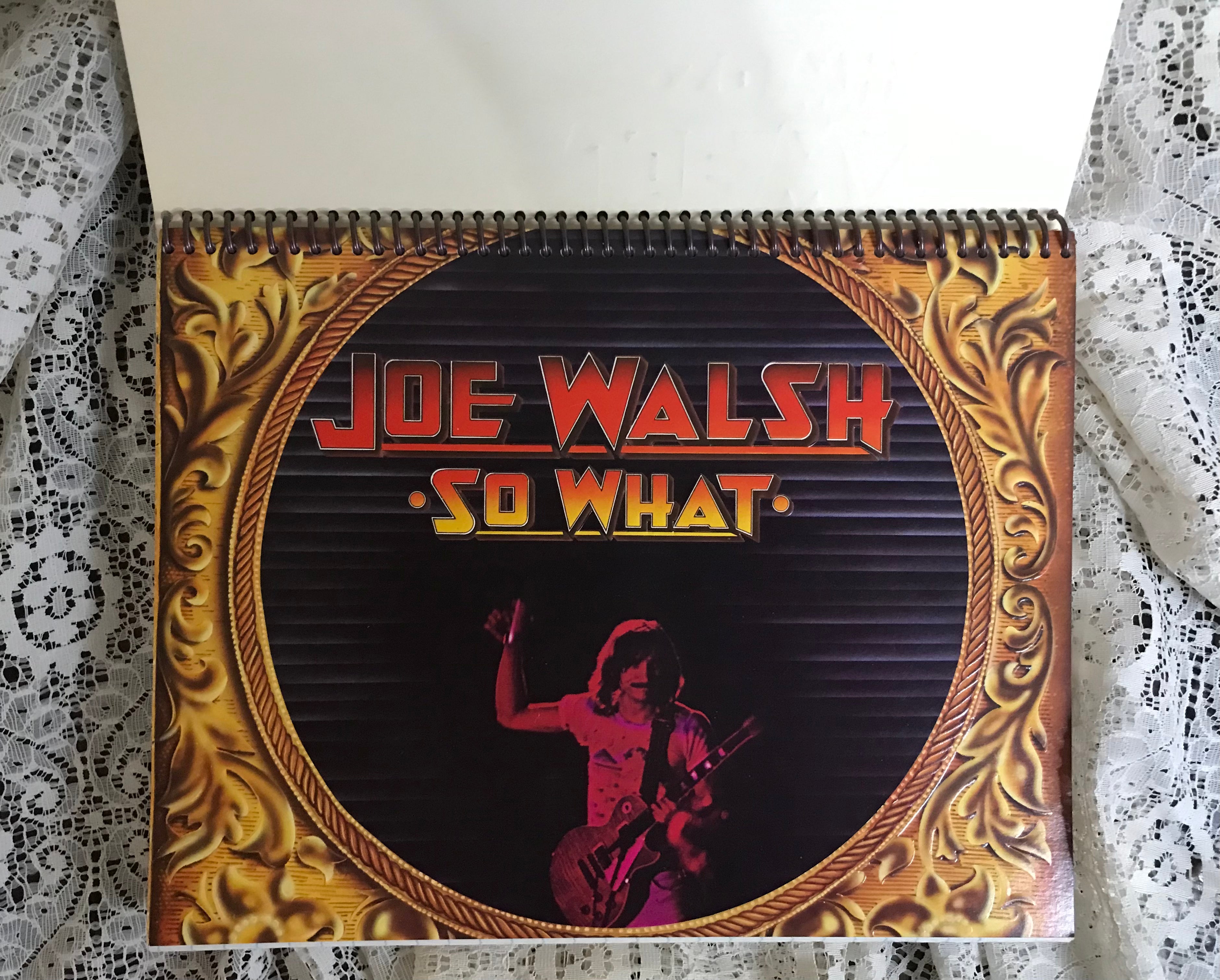 Joe Walsh Recycled Album Cover Notebook