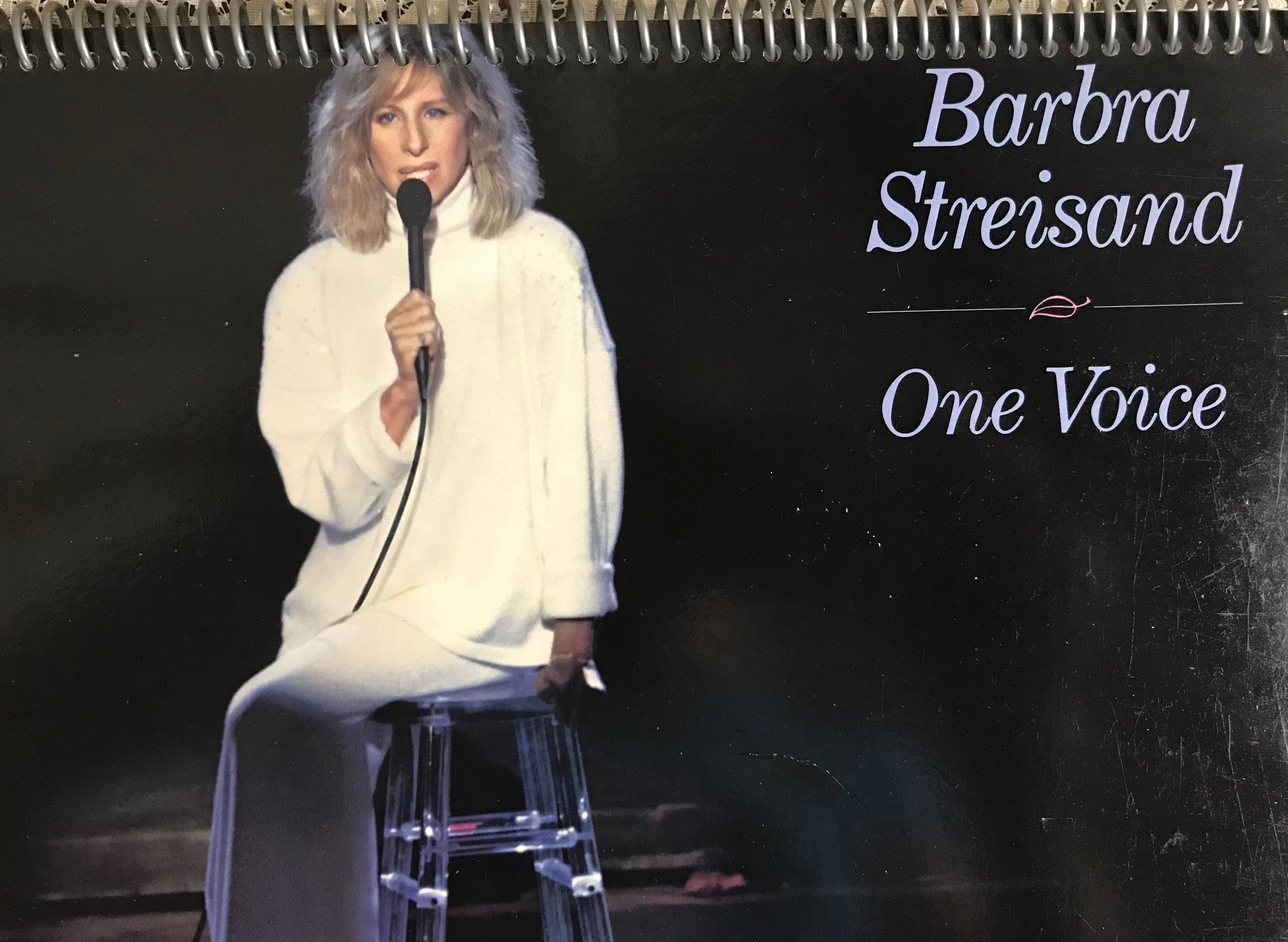 Barbra Streisand One Voice Album Cover Notebook