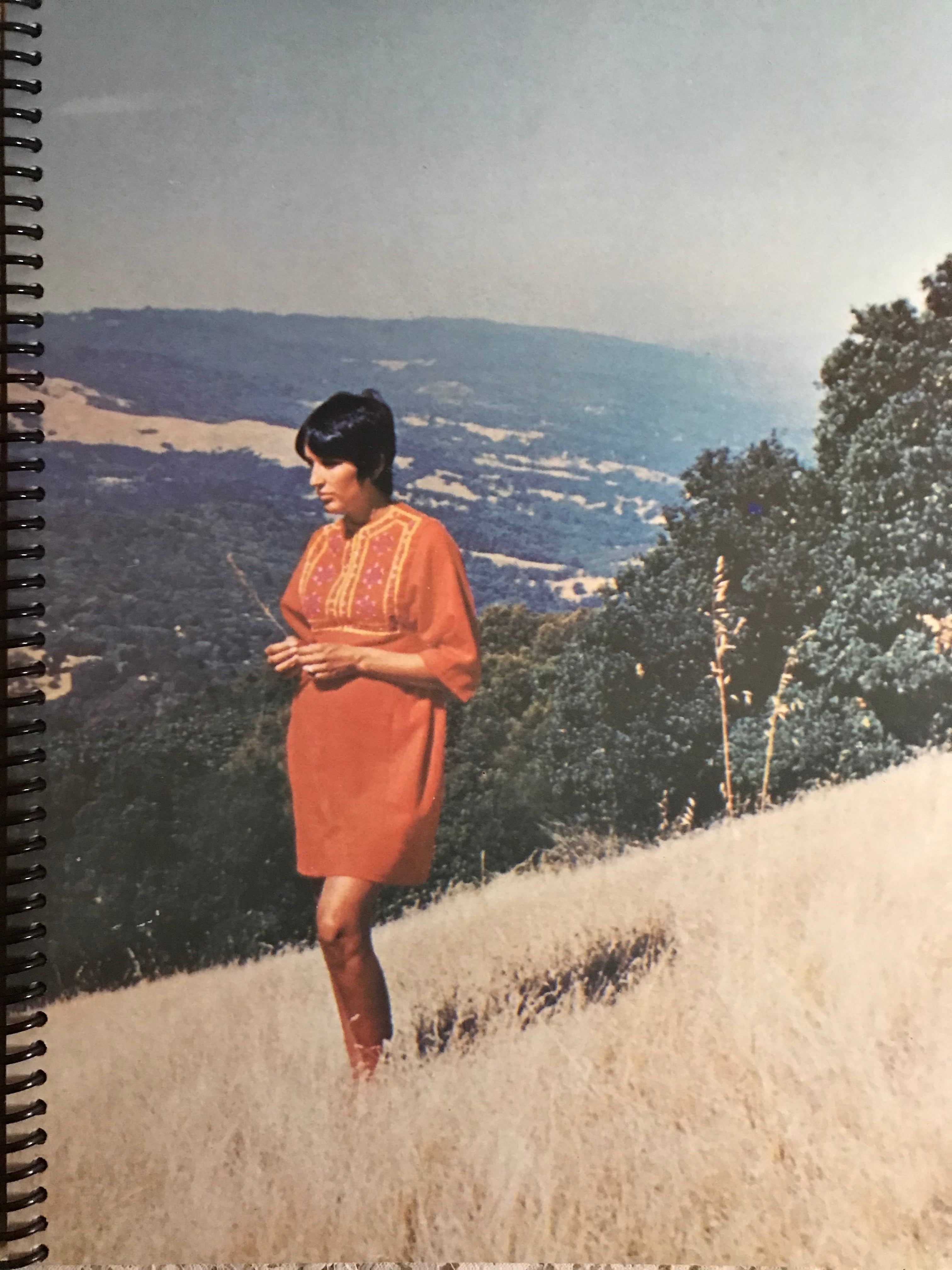 Joan Baez One Day At A Time Album Cover Notebook