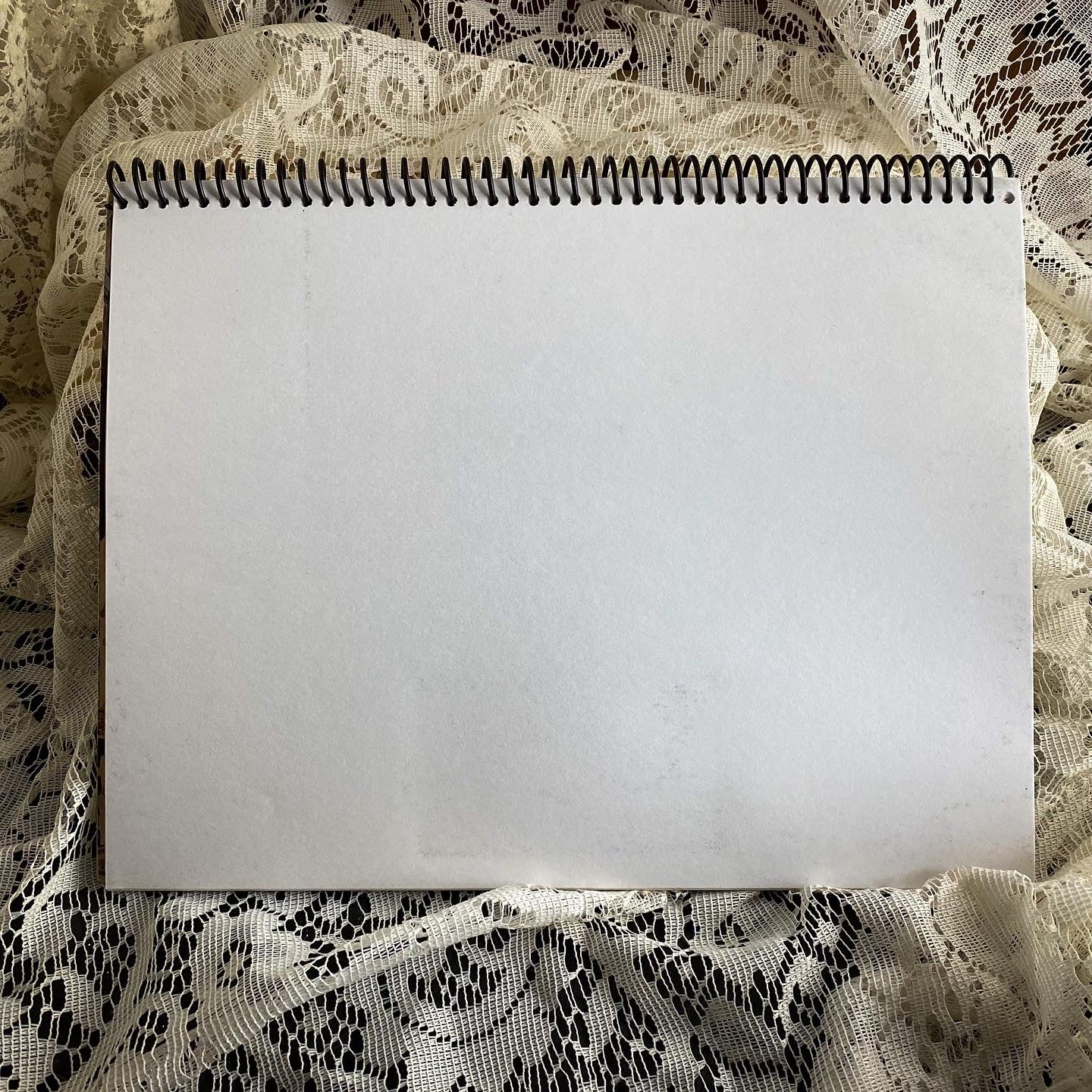 Alice Cooper's Greatest Hits Album Cover Notebook