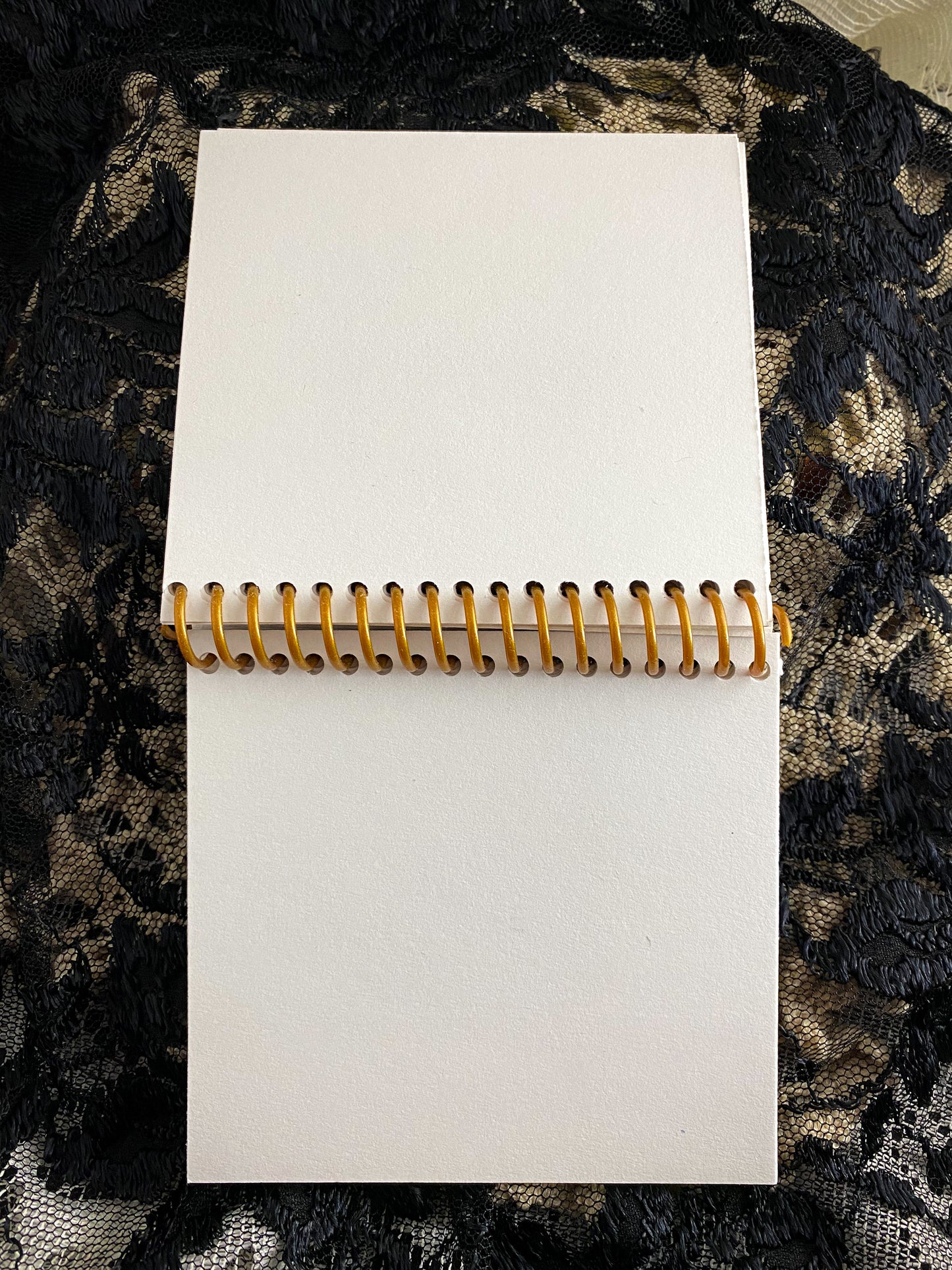 Lorac Eye Shadow Recycled Notebook