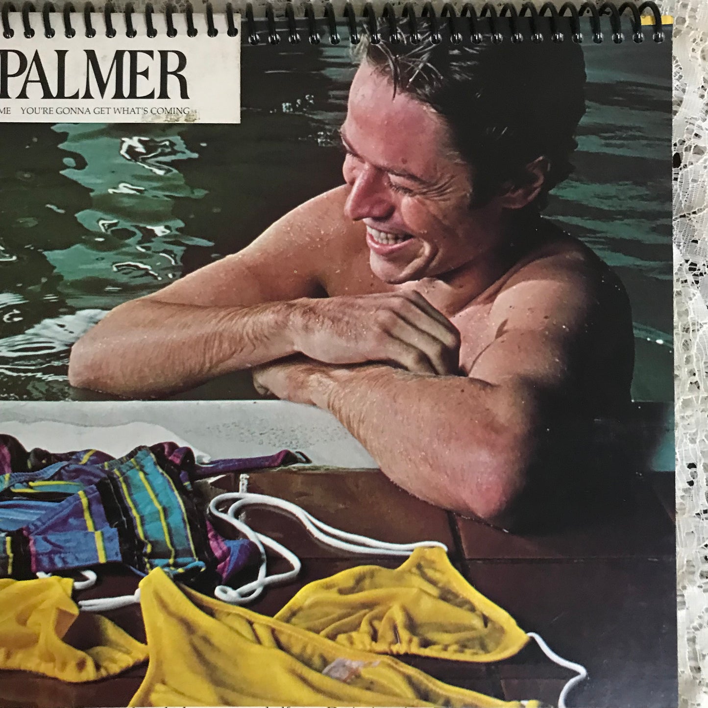 Robert Palmer Recycled Album Cover Notebook