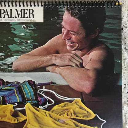 Robert Palmer Recycled Album Cover Notebook