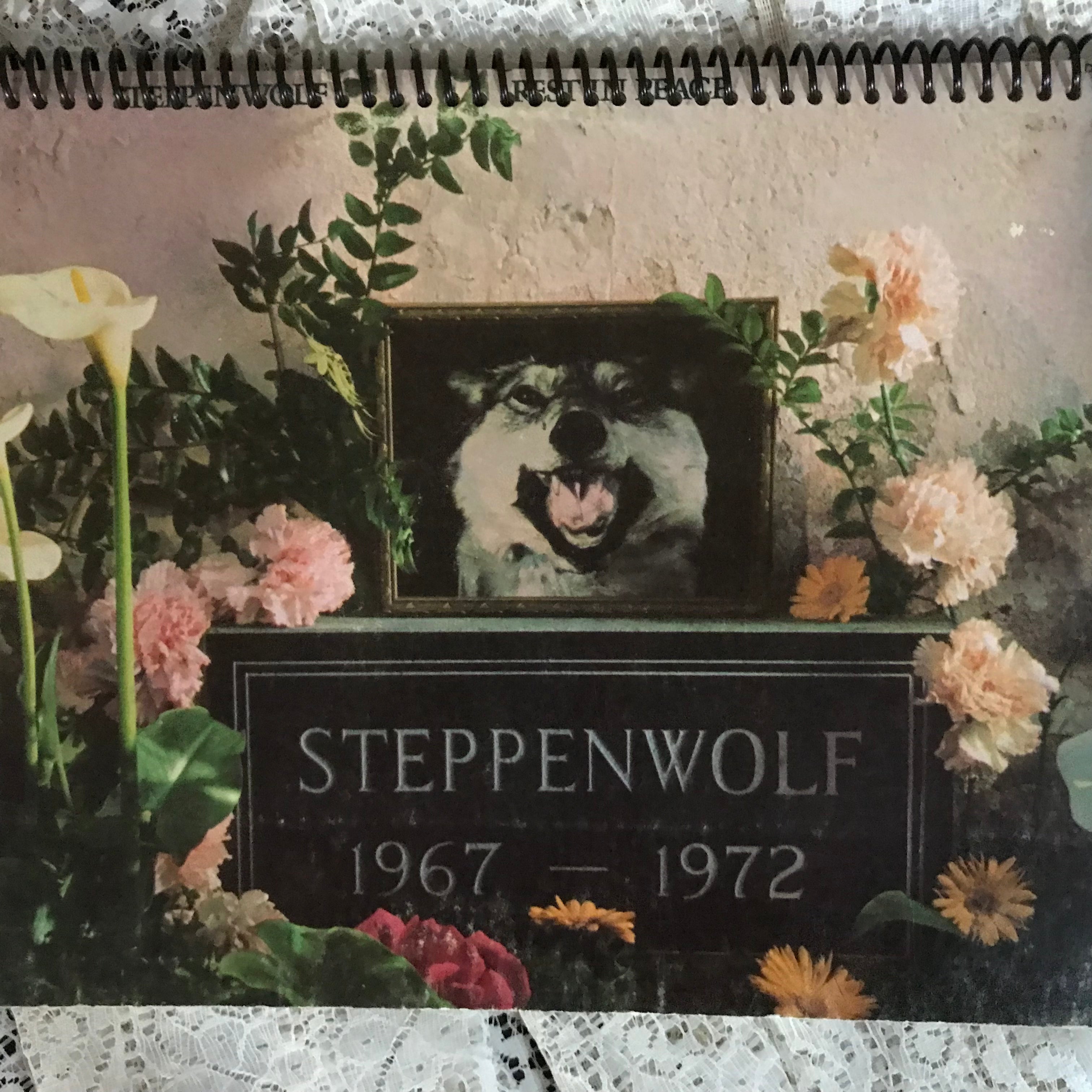 Steppenwolf  1967-1972 Album Cover Notebook