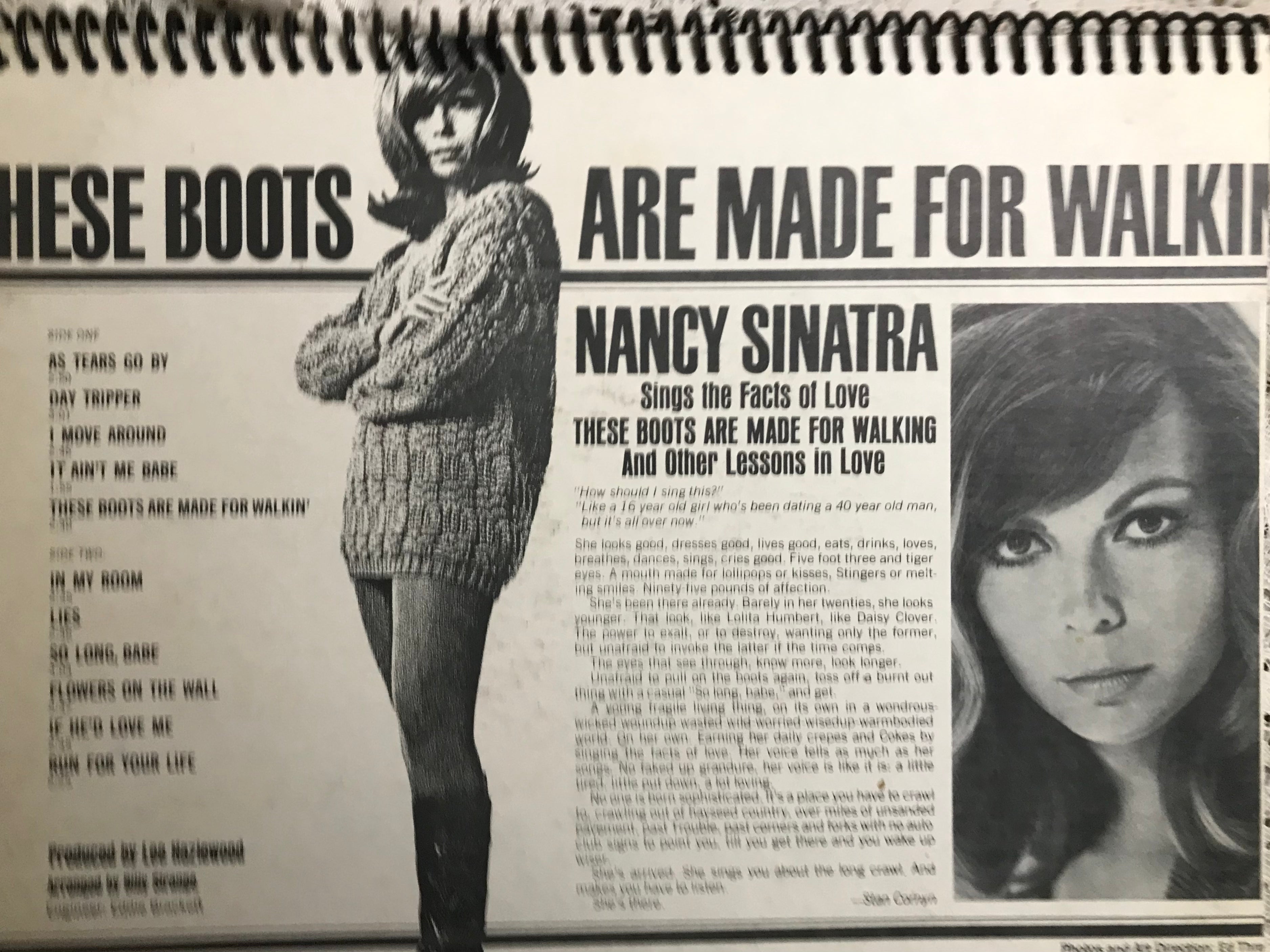 Nancy Sinatra Boots Album Cover Notebook