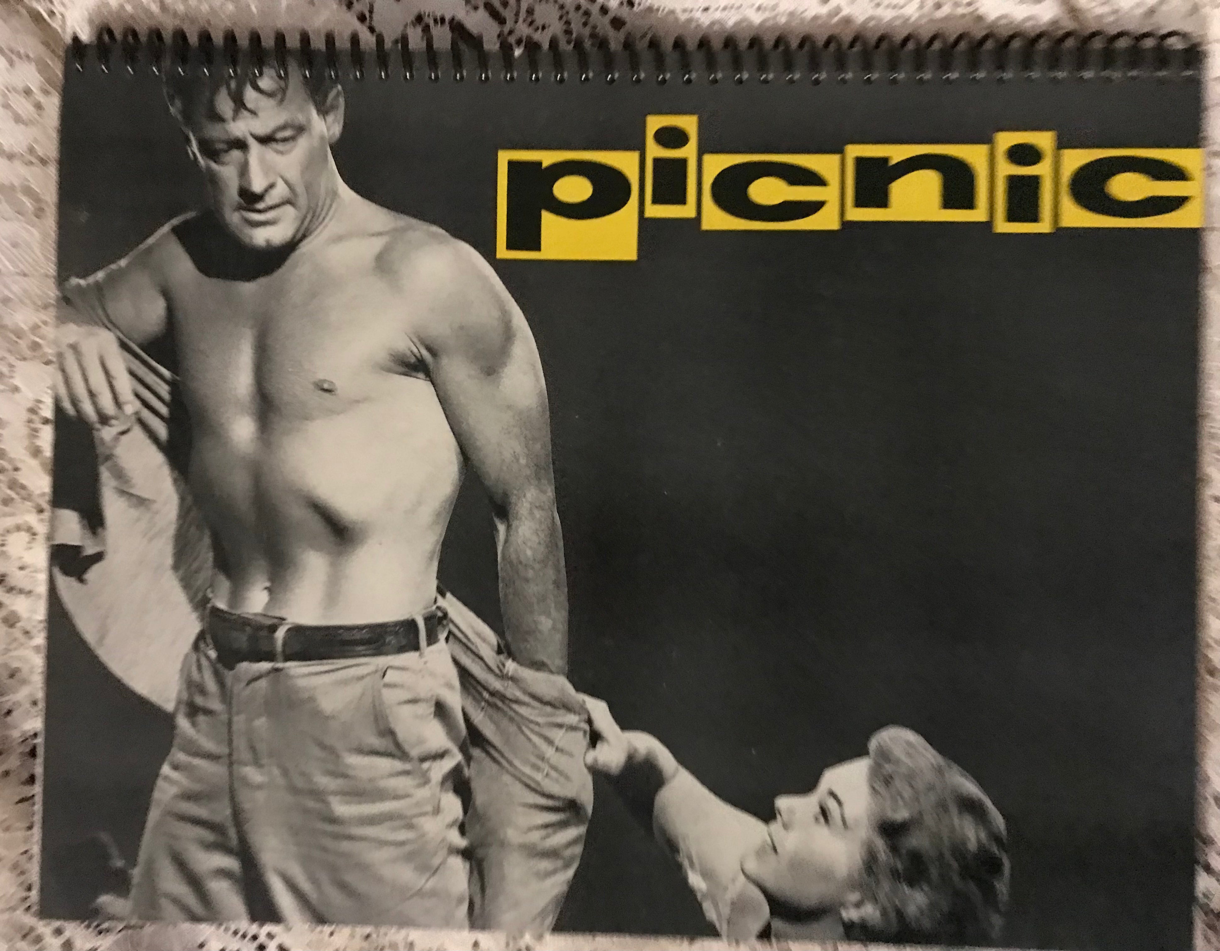 Picnic Album Cover Notebook