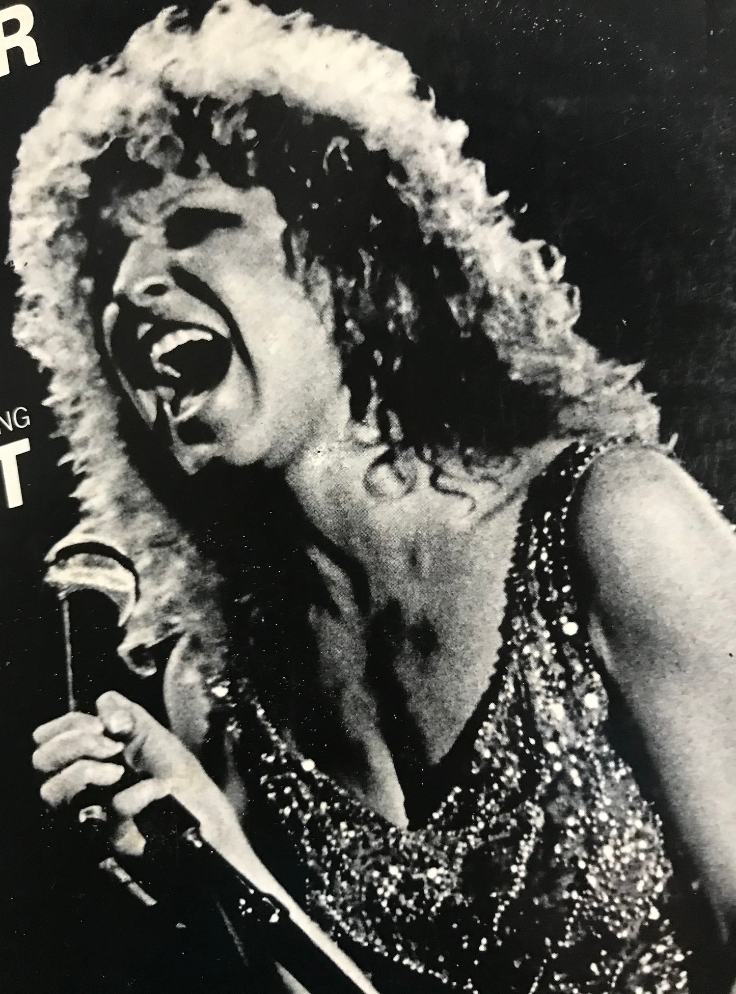 Bette Midler The Rose Album Cover Notebook