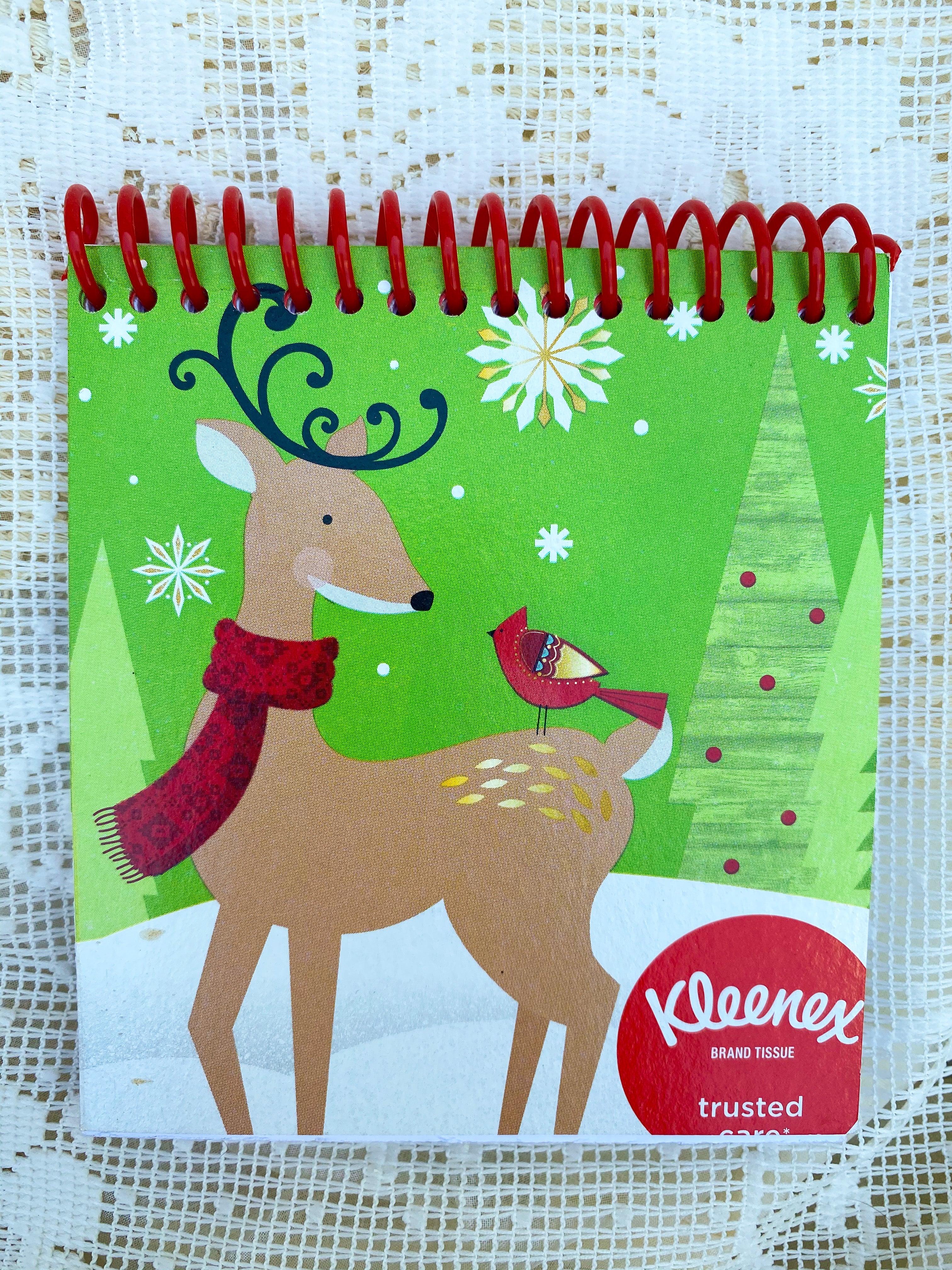 Holiday Deer Recycled Kleenex Box Notebook