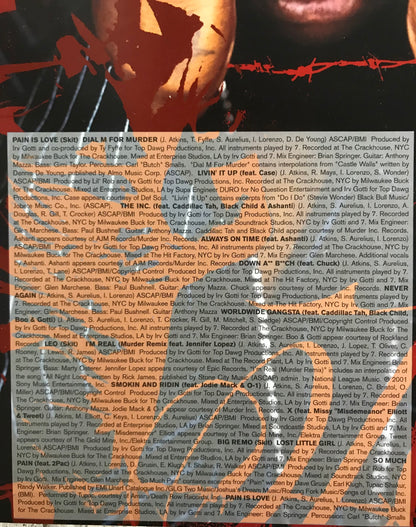 Ja Rule Love is Pain Album Cover Notebook