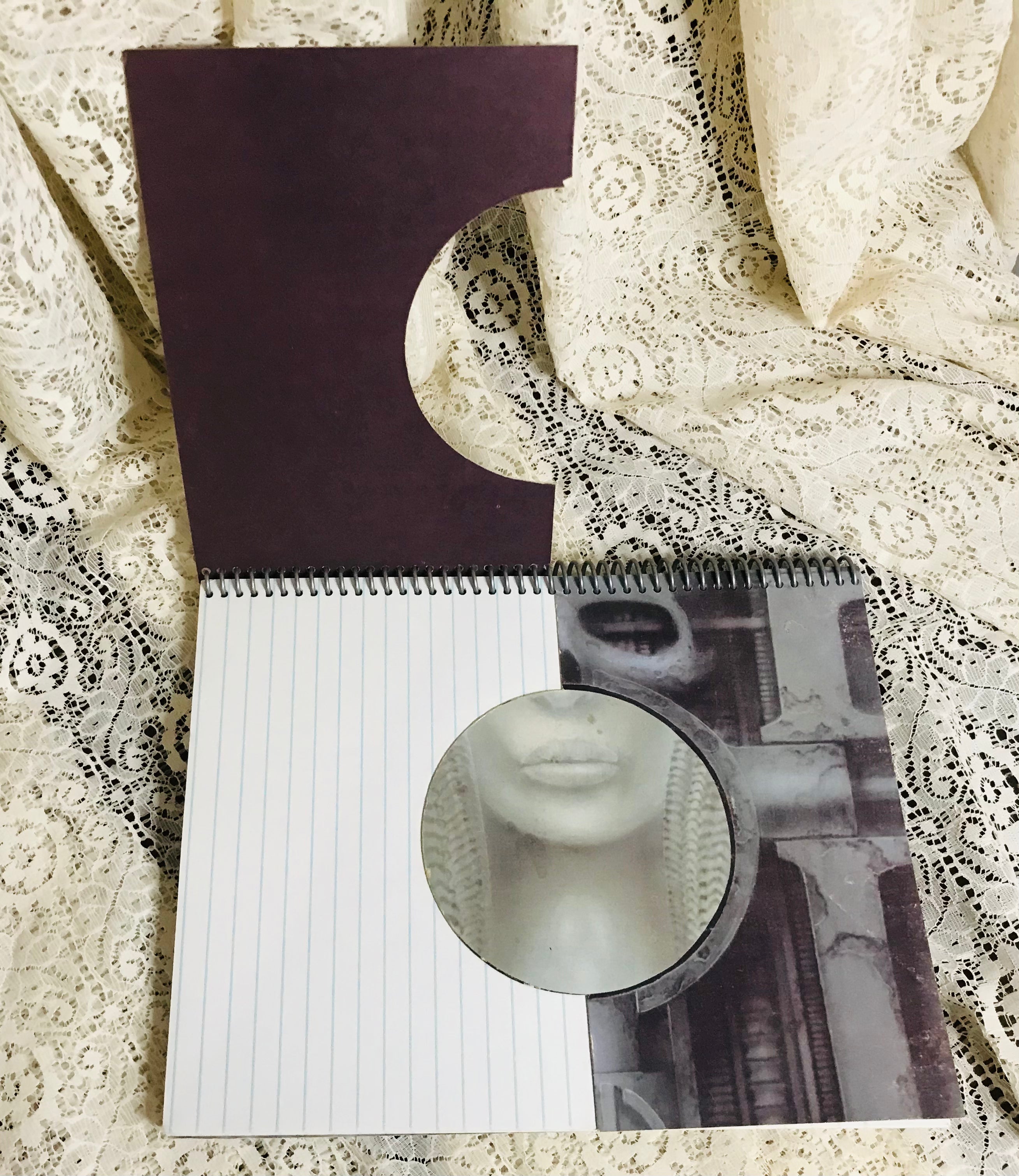 Emerson Lake and Palmer Brain Salad Surgery Album Cover Notebook
