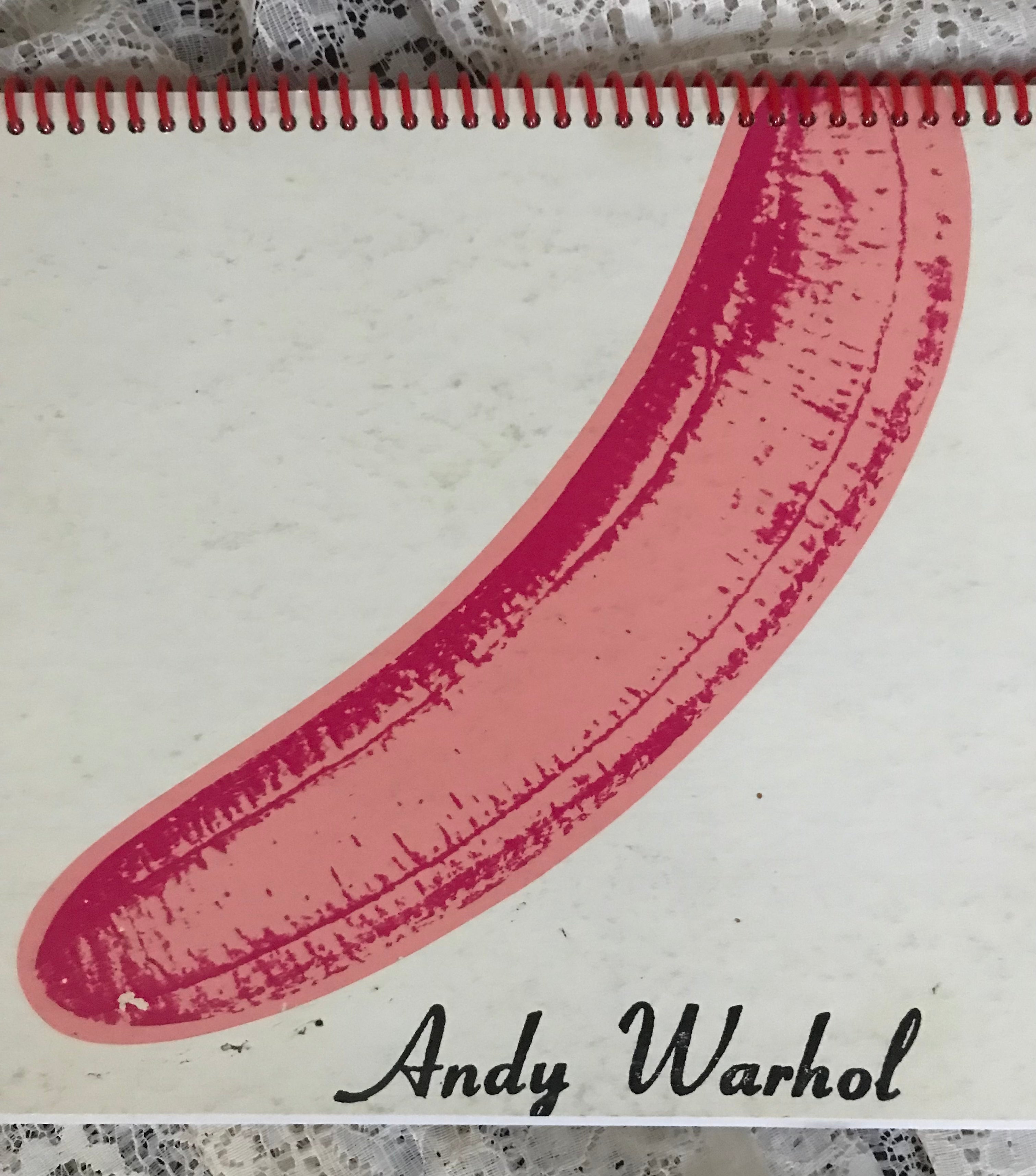 Velvet Underground Andy Warhol Album Cover Notebook