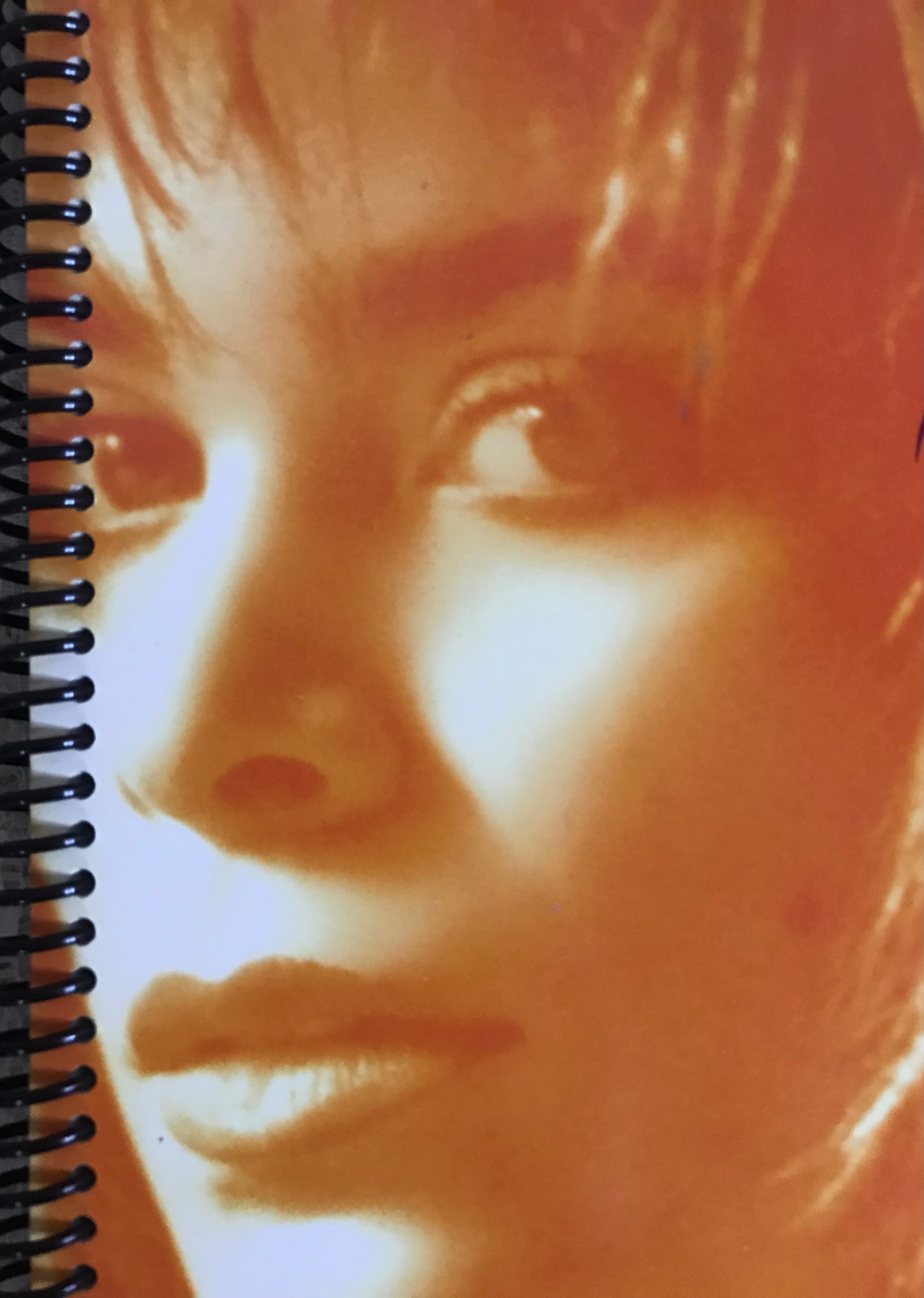 Paula Abdul Recycled Album Cover Notebook